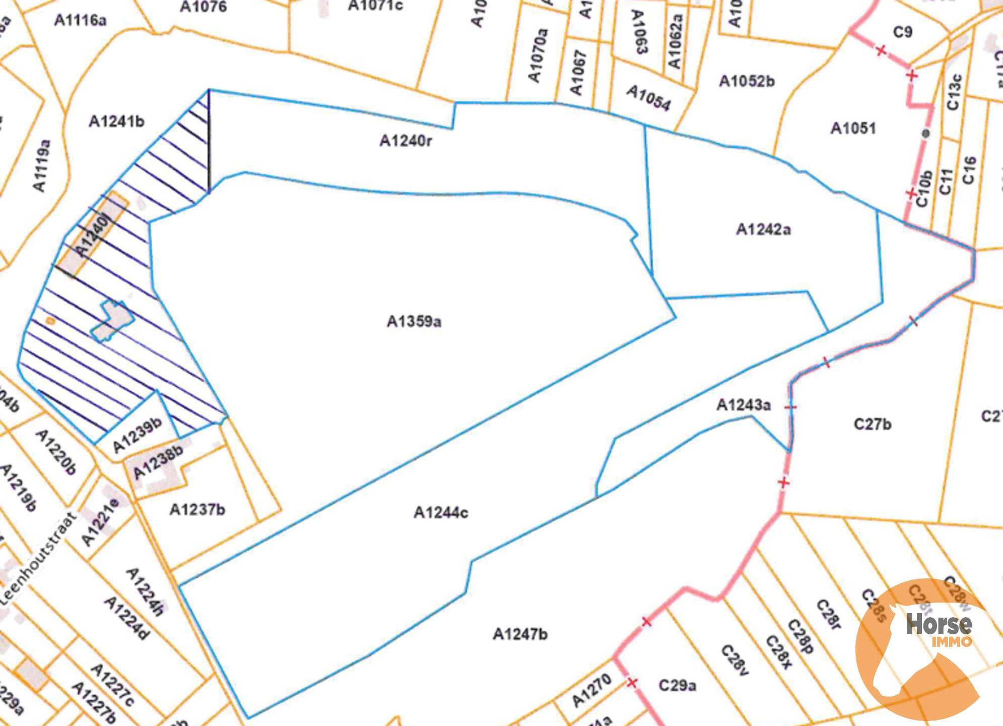 ZOTTEGEM - +/- 8HA Weide en +/-2,8HA bos foto 2