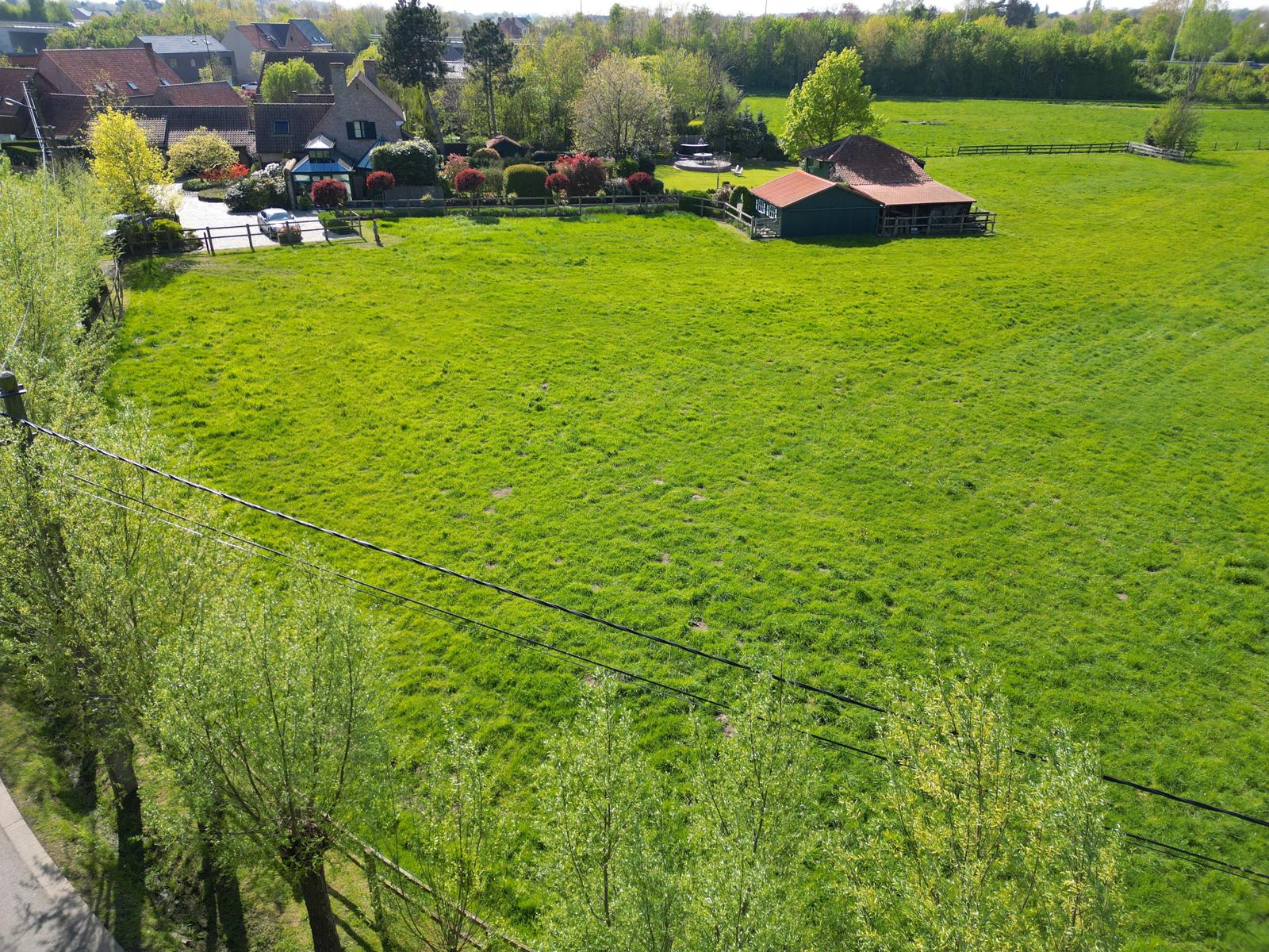 Villa met paardenboxen nabij het centrum foto 4