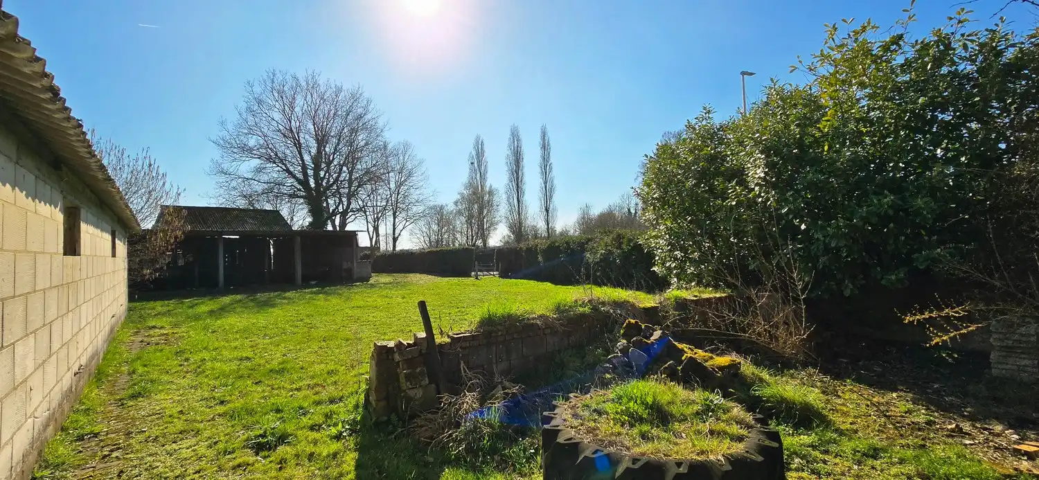 Boerderij te koop foto 21