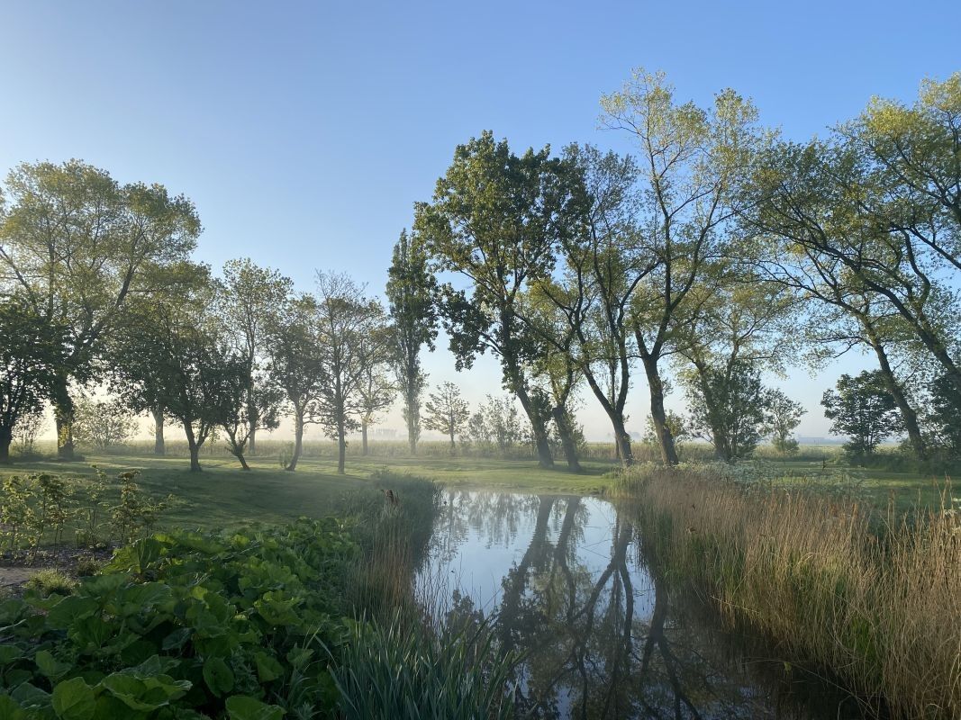 Vakantiedomein met herenwoning en 8 vakantiewoningen te koop te Nieuwpoort foto 17