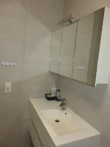 Ruim appartement in centrum Boom foto 15