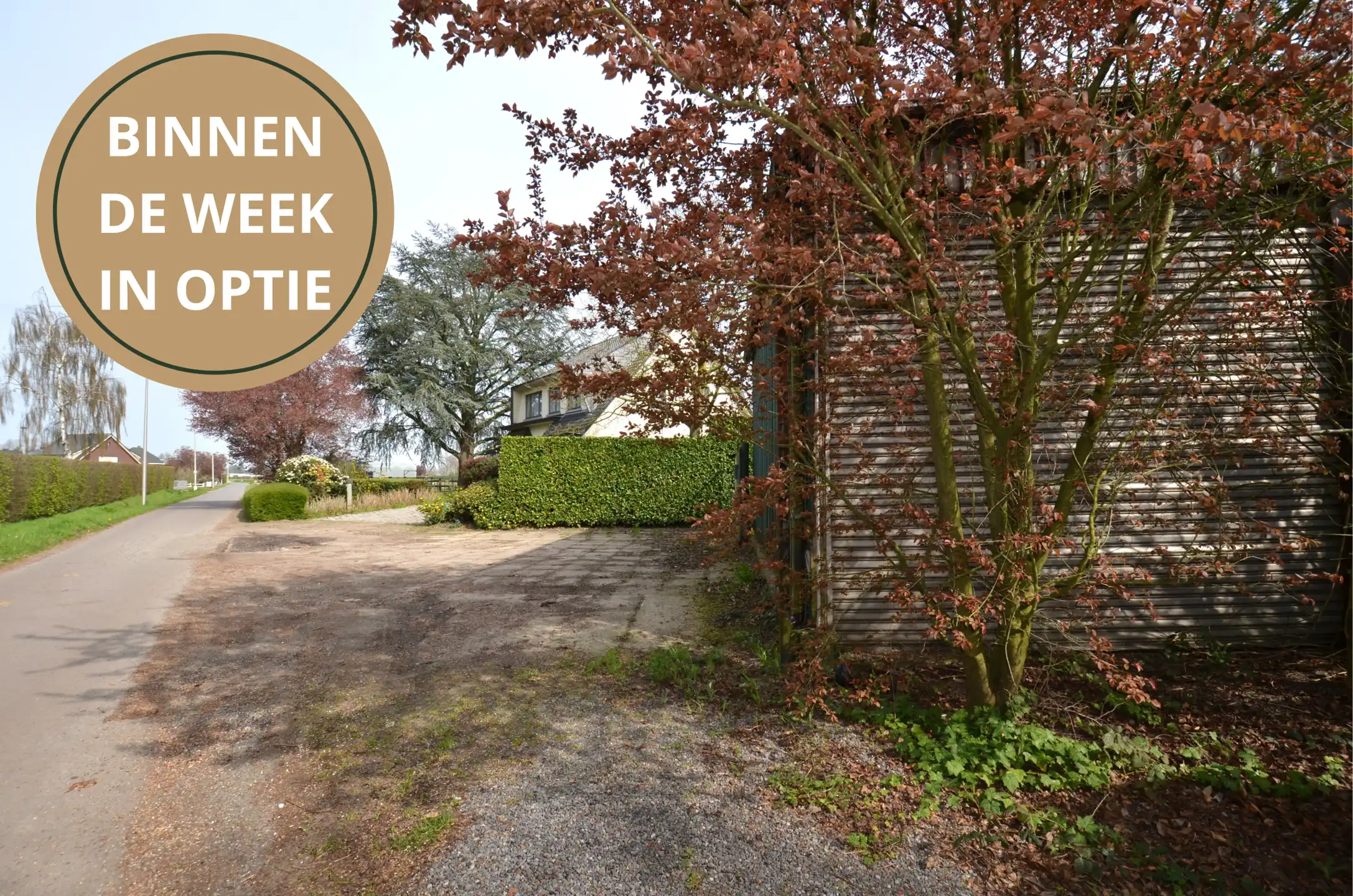 Magazijn met bijhorende weiland foto {{pictureIndex}}