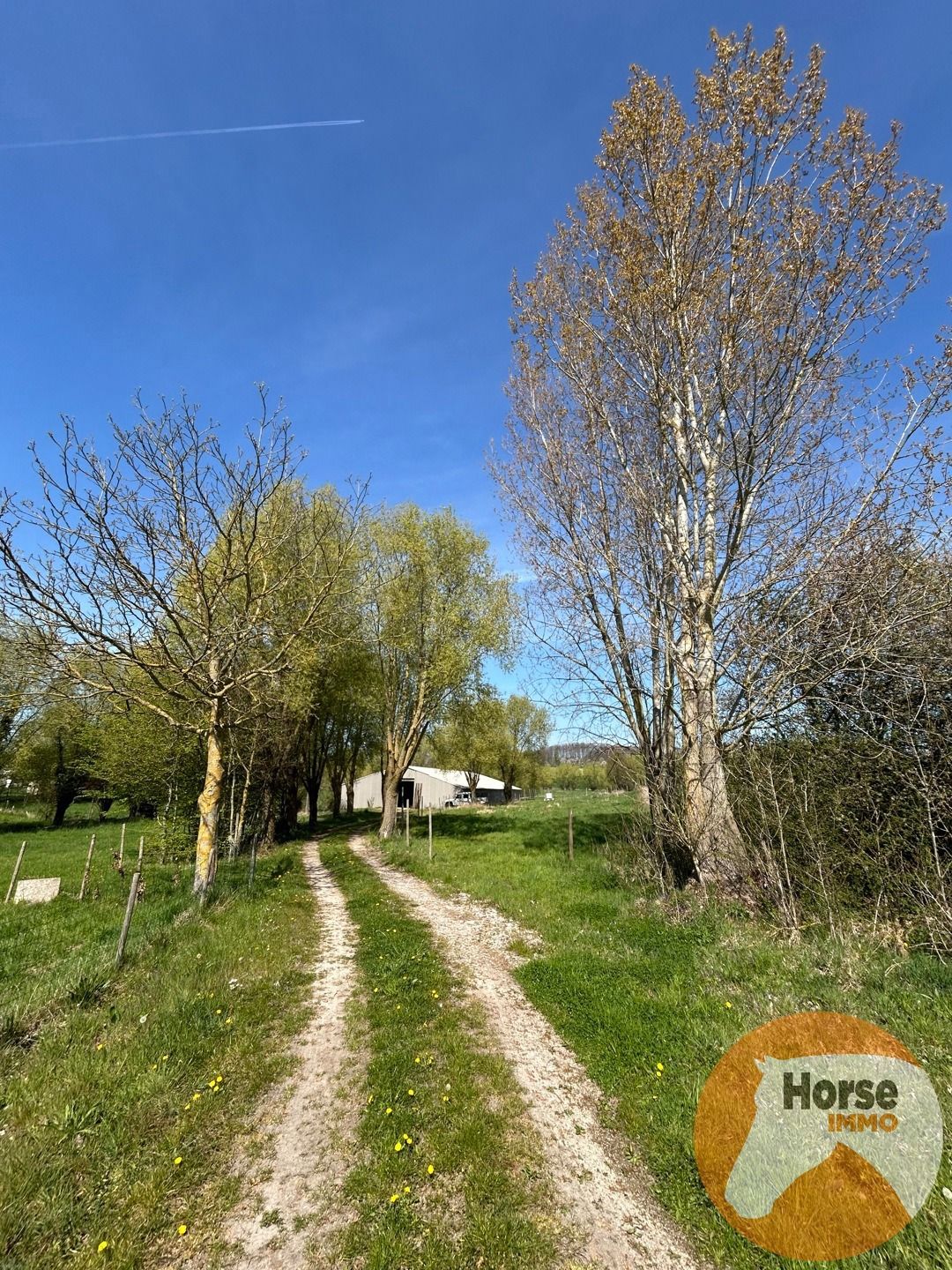 TOLLEMBEEK - Weide met loods op rustige locatie foto 8