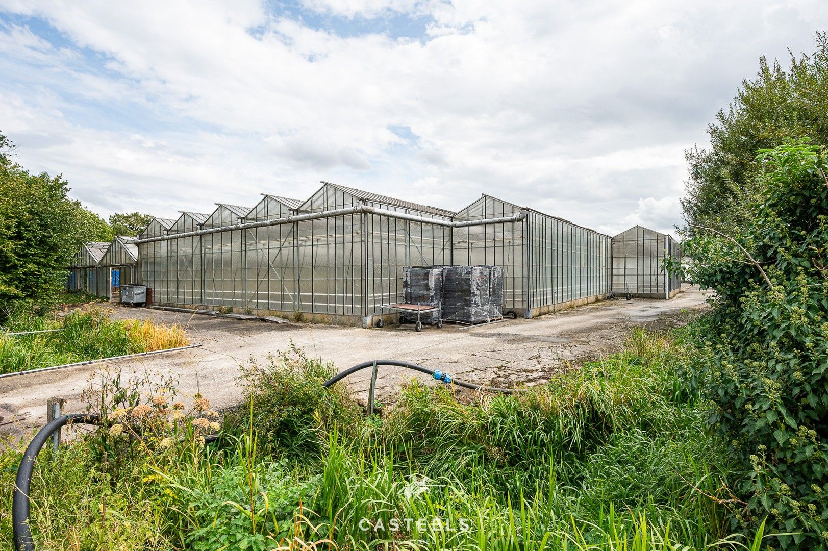 Uitzonderlijke tuinbouwsite in hartje Lochristi - 2,5 hectare met tal van mogelijkheden foto 12