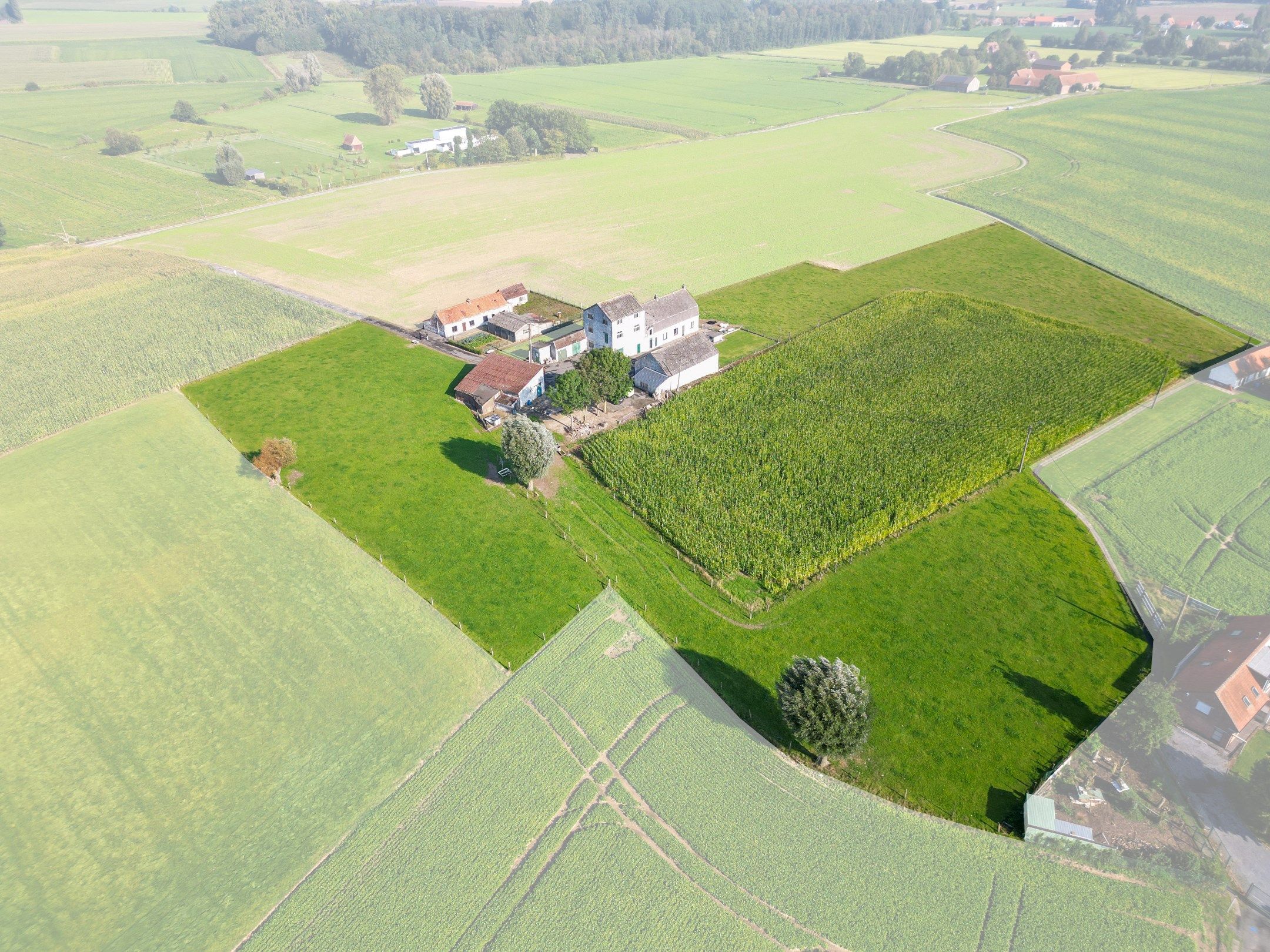 UNIEKE LANDEIGENDOM OP 2,1 HA foto 23