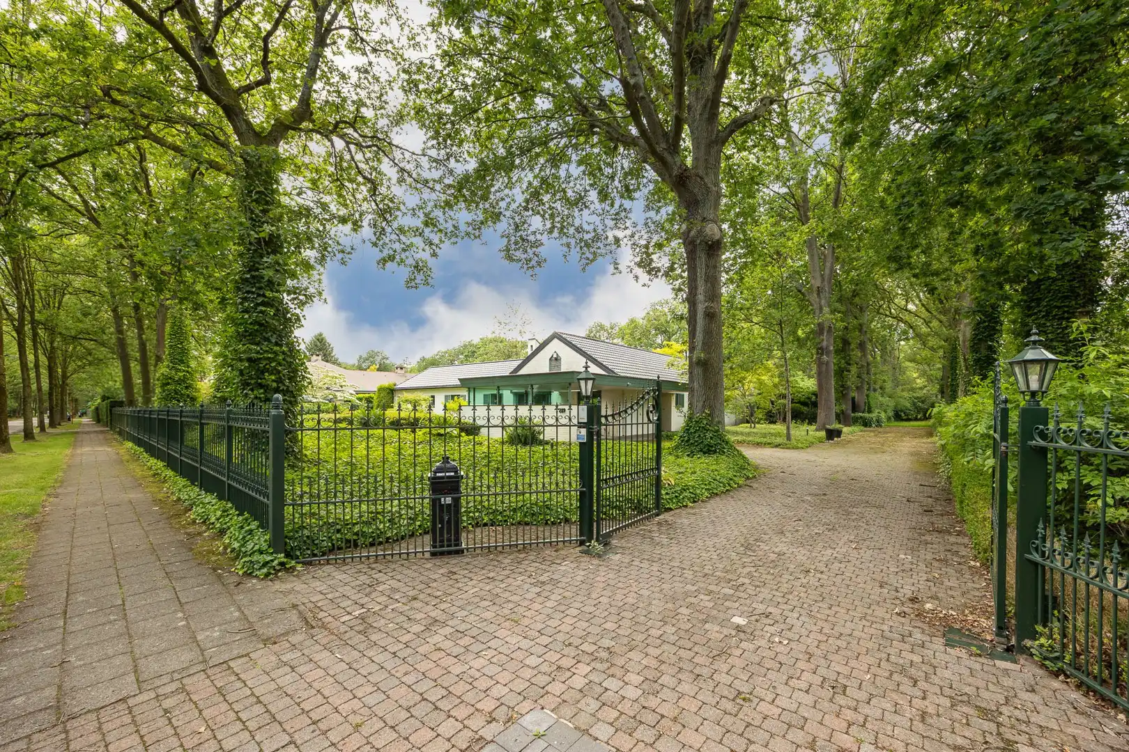 VILLA OP 3.660 M² foto 2