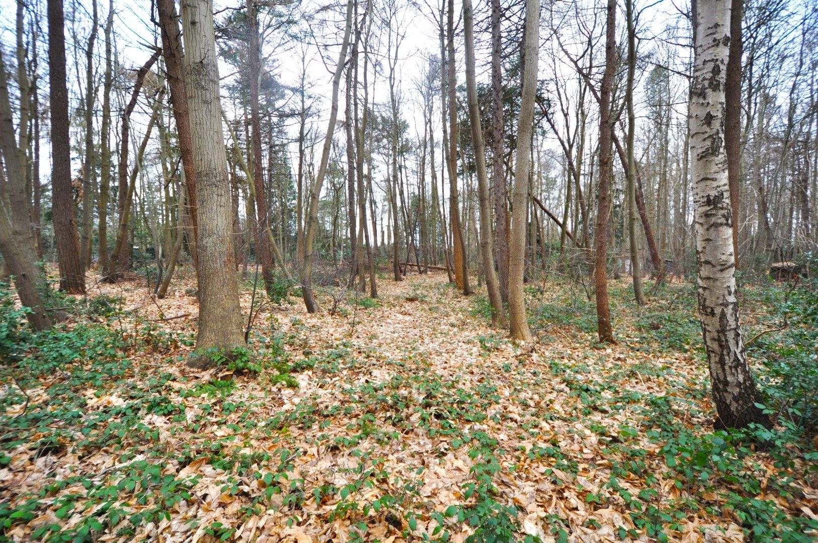 Uitzonderlijk villa-perceel gelegen in residentiële villa omgeving foto 10