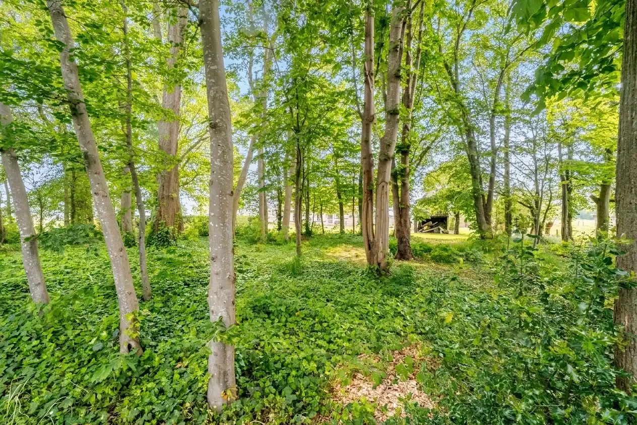 Alleenstaande topper met 3 slaapkamers nabij het Arboretum van Koekelare foto 29