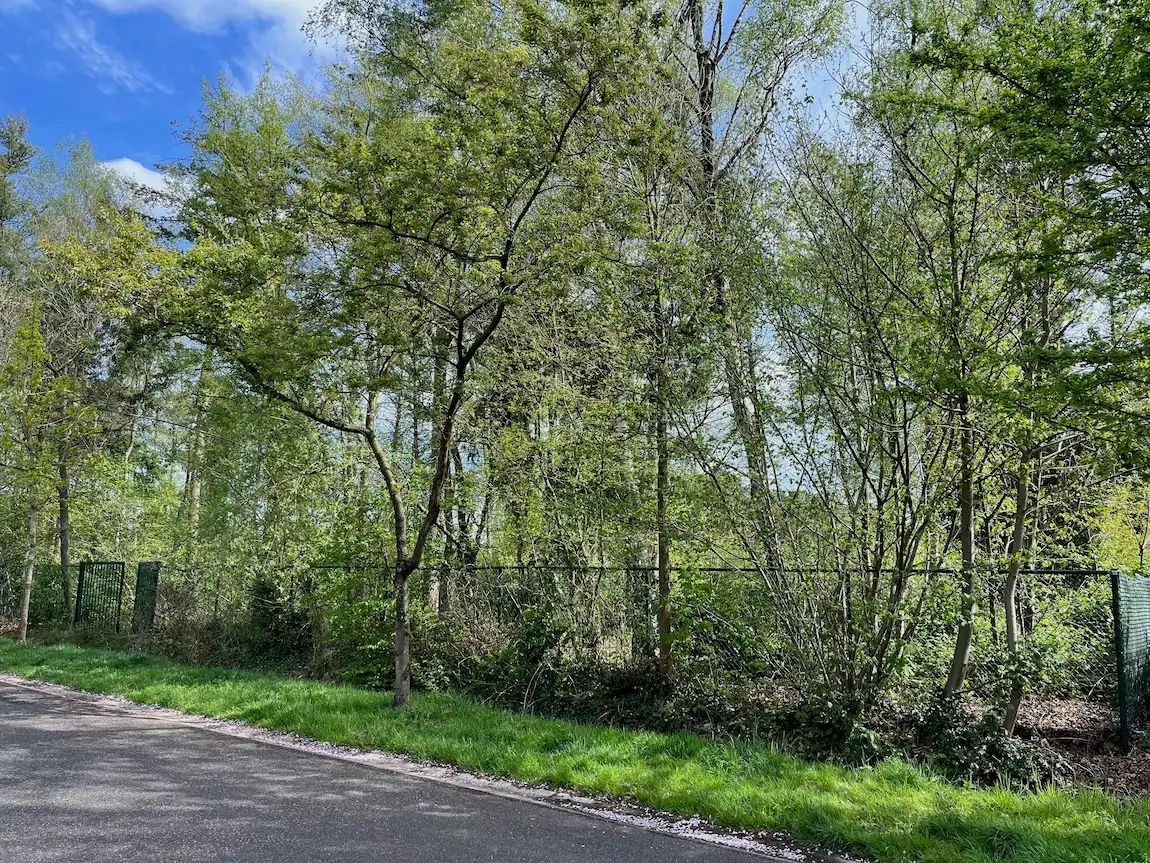 Rustig gelegen villagrond foto 4