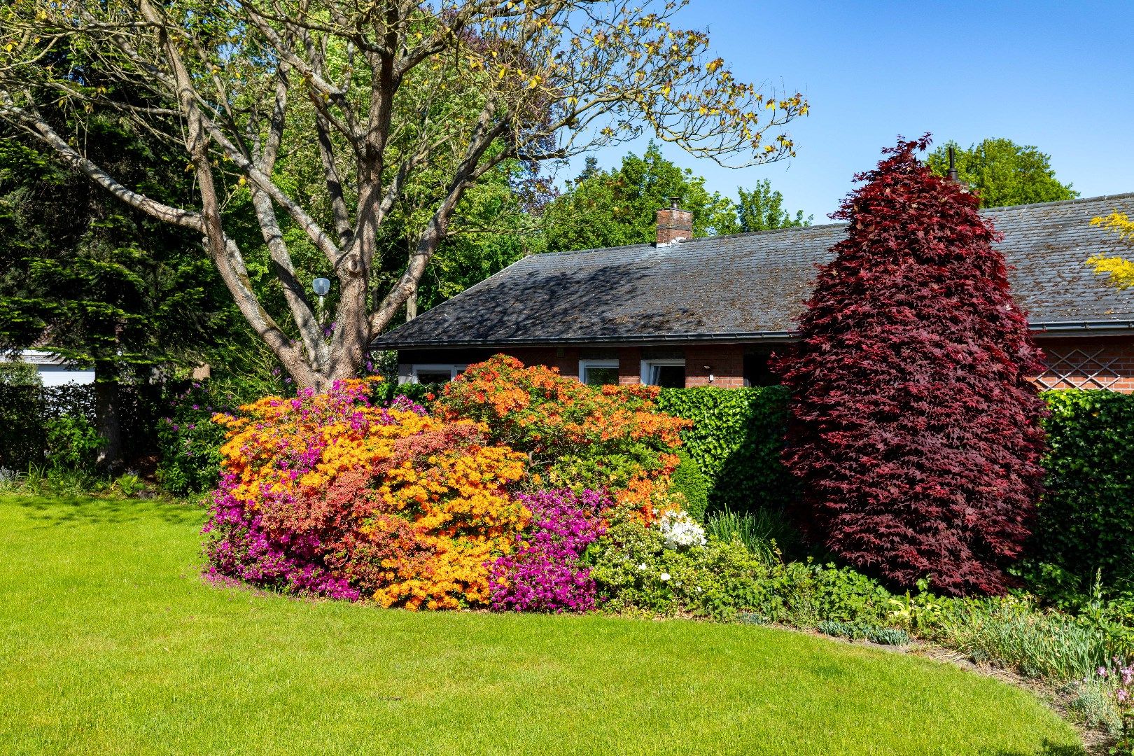 Gezellige woning met karakter, atelier en prachtige tuin (2 percelen!) in residentieel Sint-Andries. foto 4