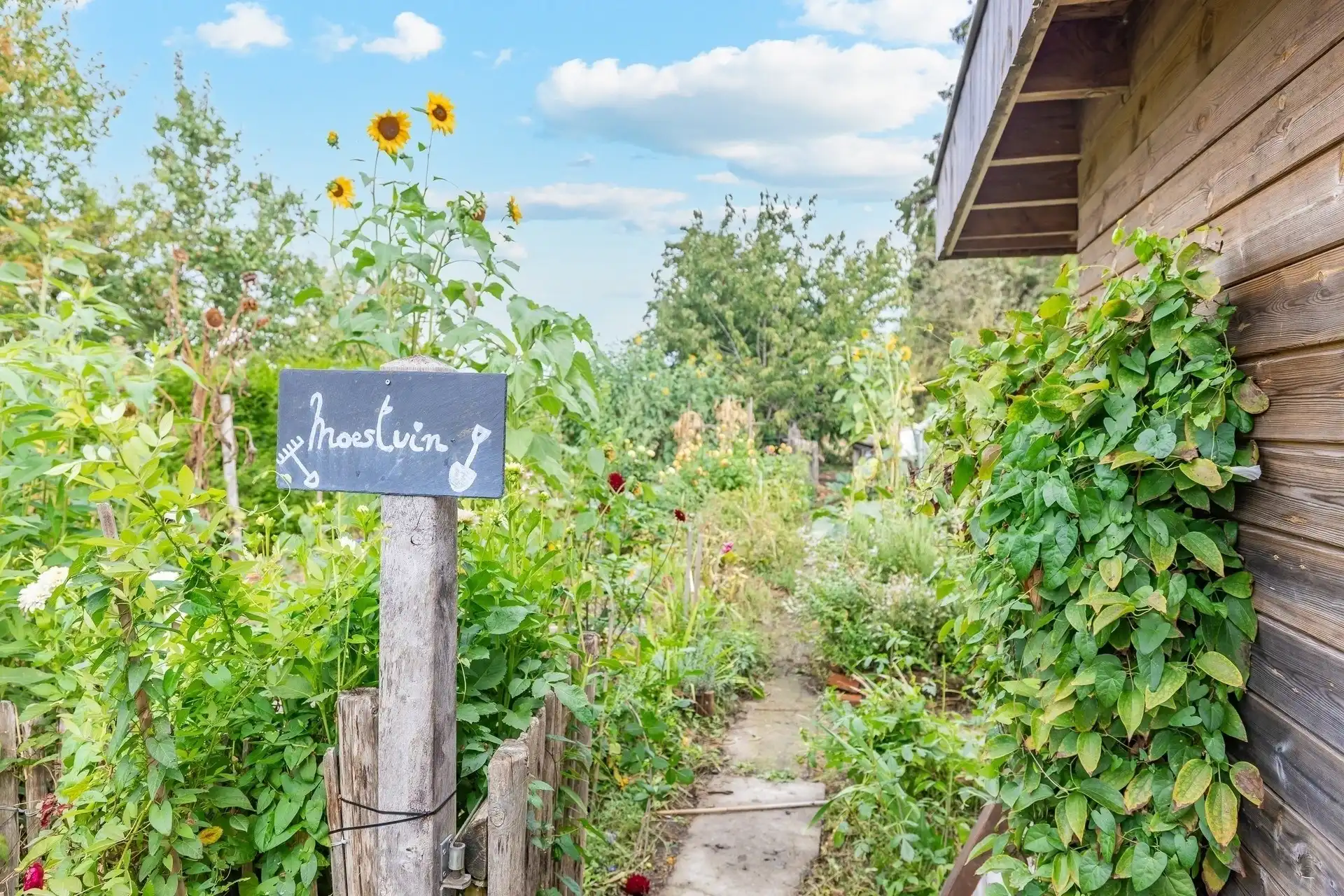 Interessante woning met prachtige tuin in Wichelen. foto 28