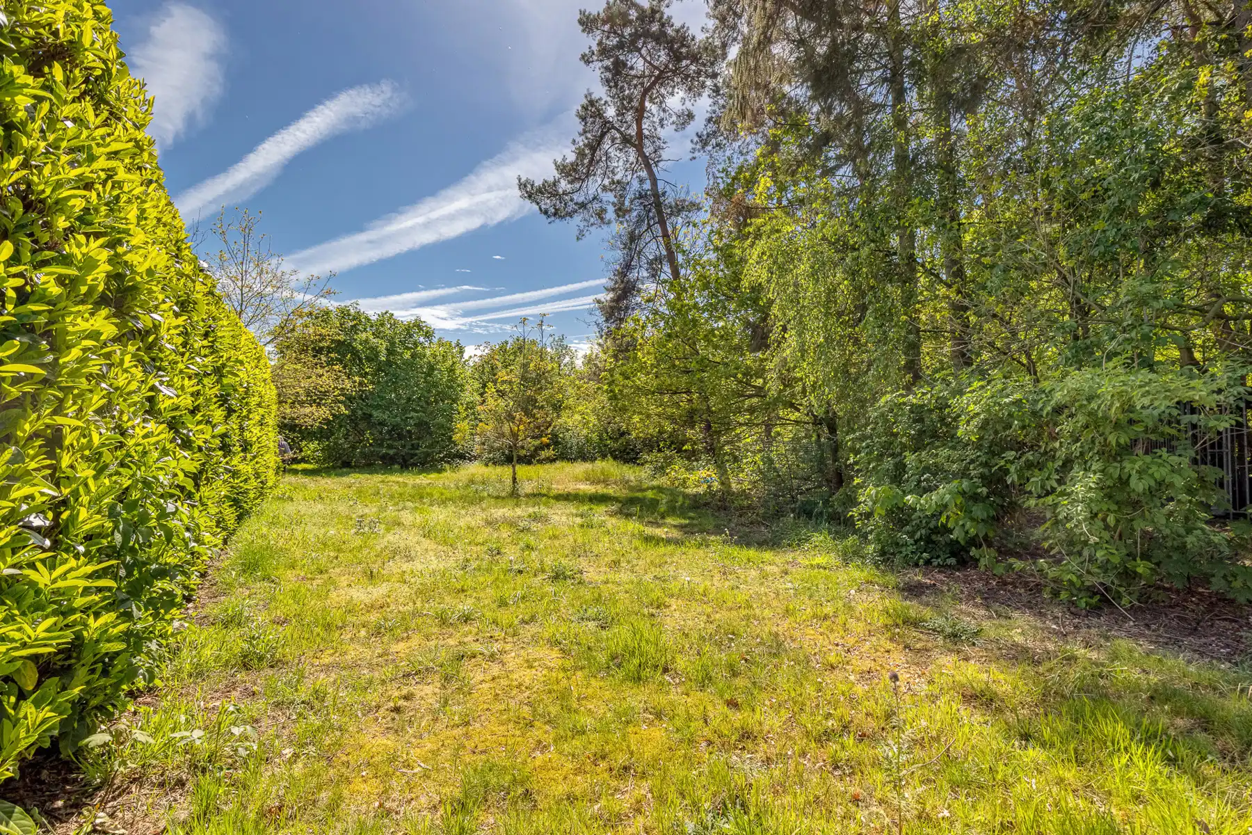 Vrijstaande villa met kantoor op prachtig perceel (6.708m²)! foto 7