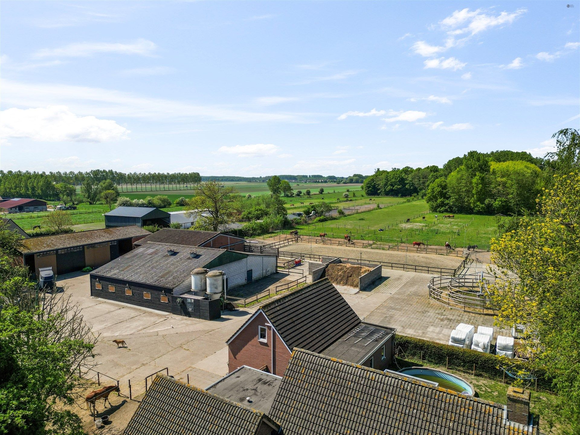 Paardenaccomodatie met woning op ca 1,8 ha foto 3