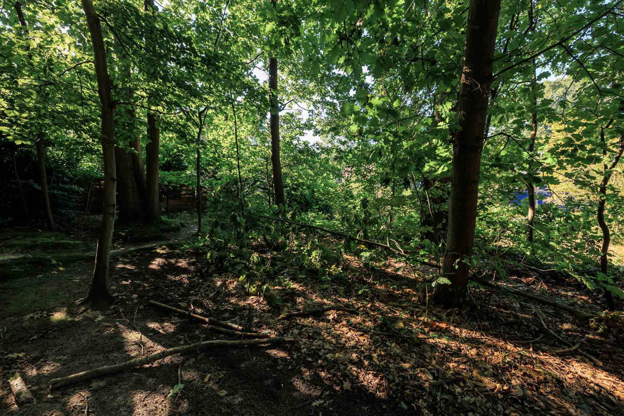 Goed gelegen bouwgrond te Heikant-Rotselaar foto 10