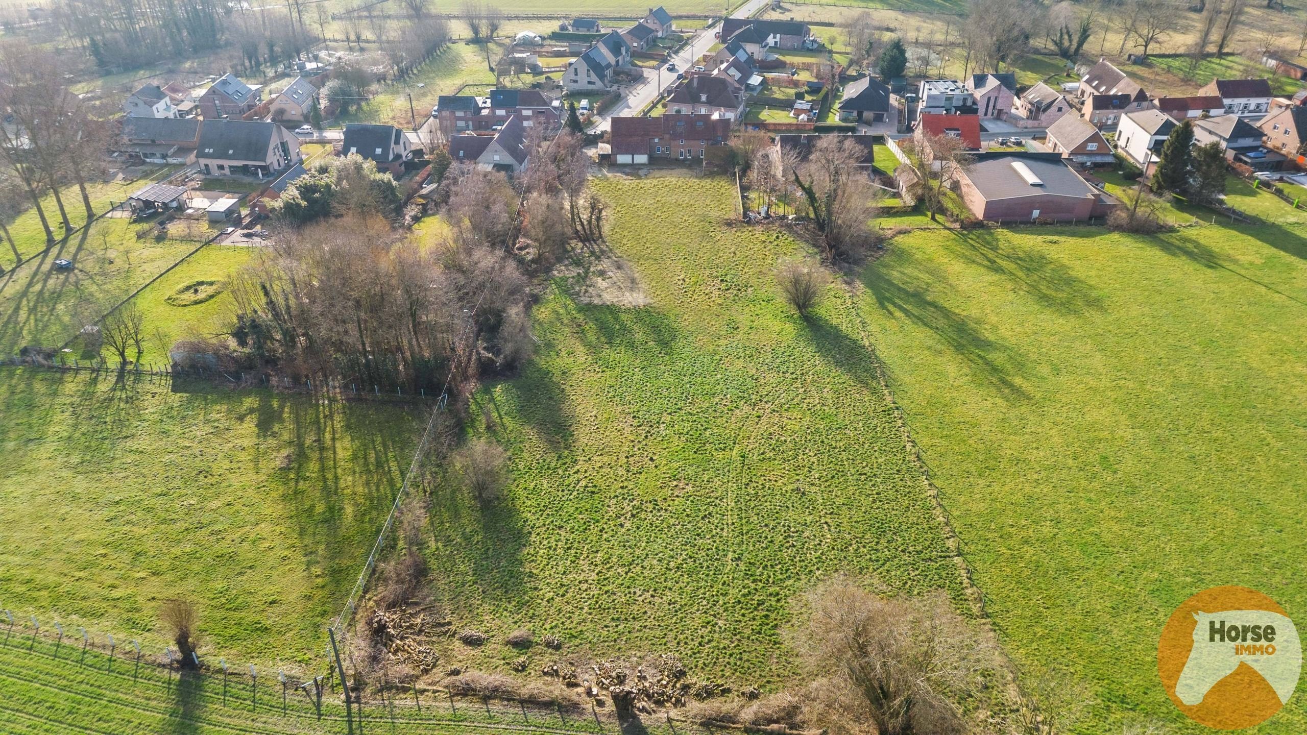 GALMAARDEN  - Unieke woning met grote werkplaats foto 3