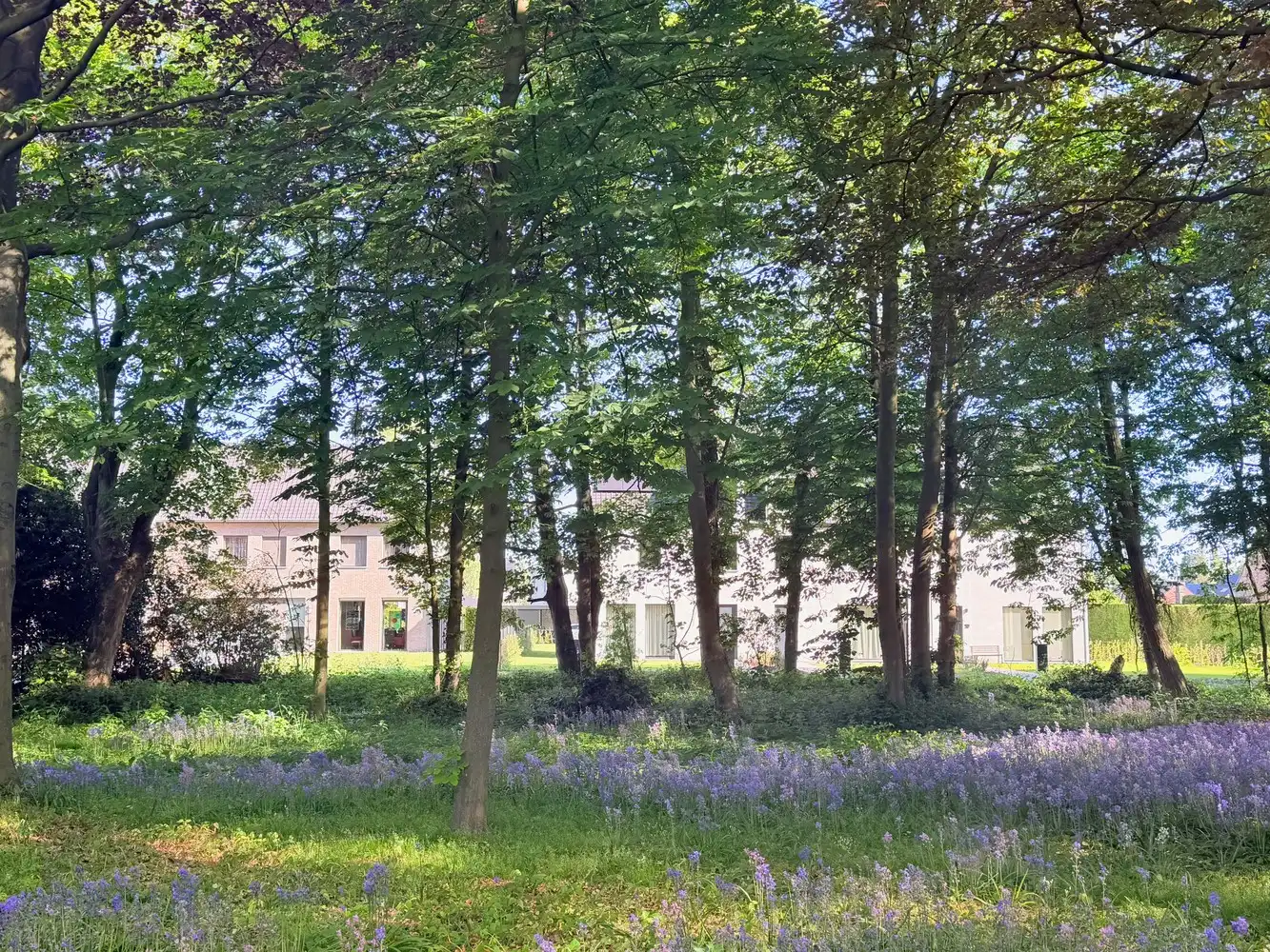 Karaktervolle villa op uitzonderlijk parkdomein van 67 are met ontwikkelingspotentieel vlakbij Gent foto 4