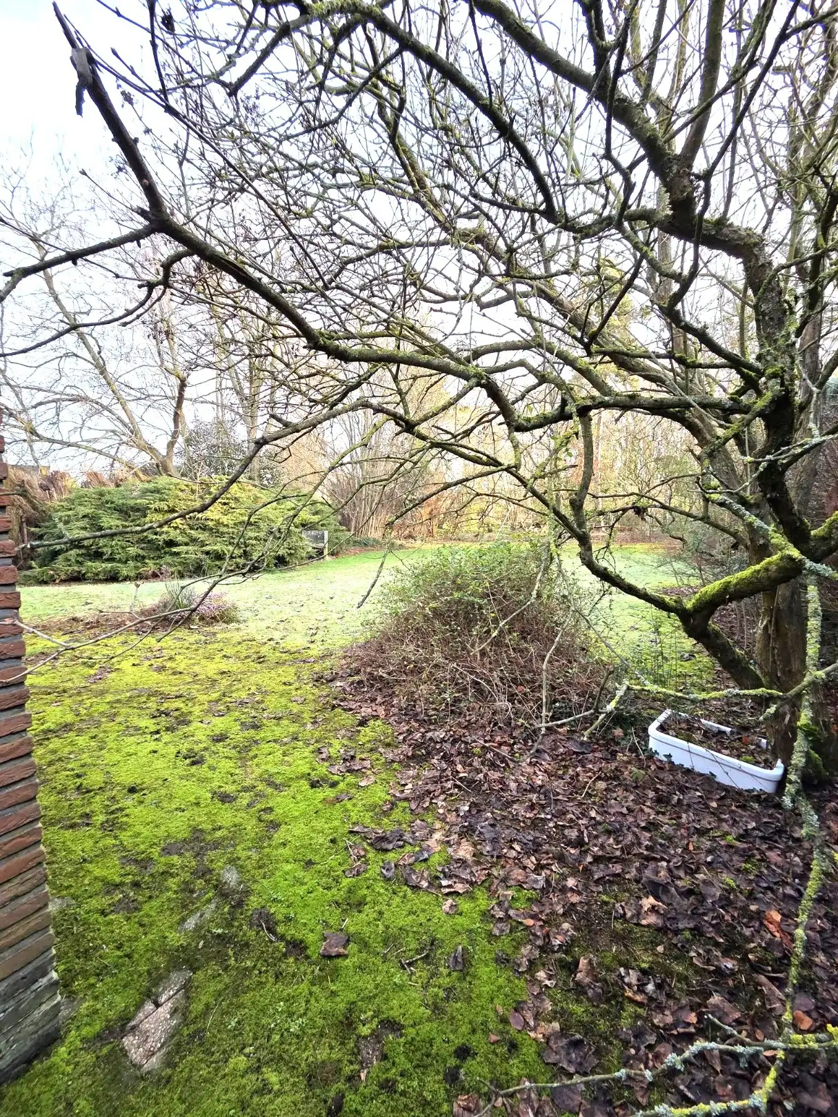 Bungalow...te renoveren... foto 16