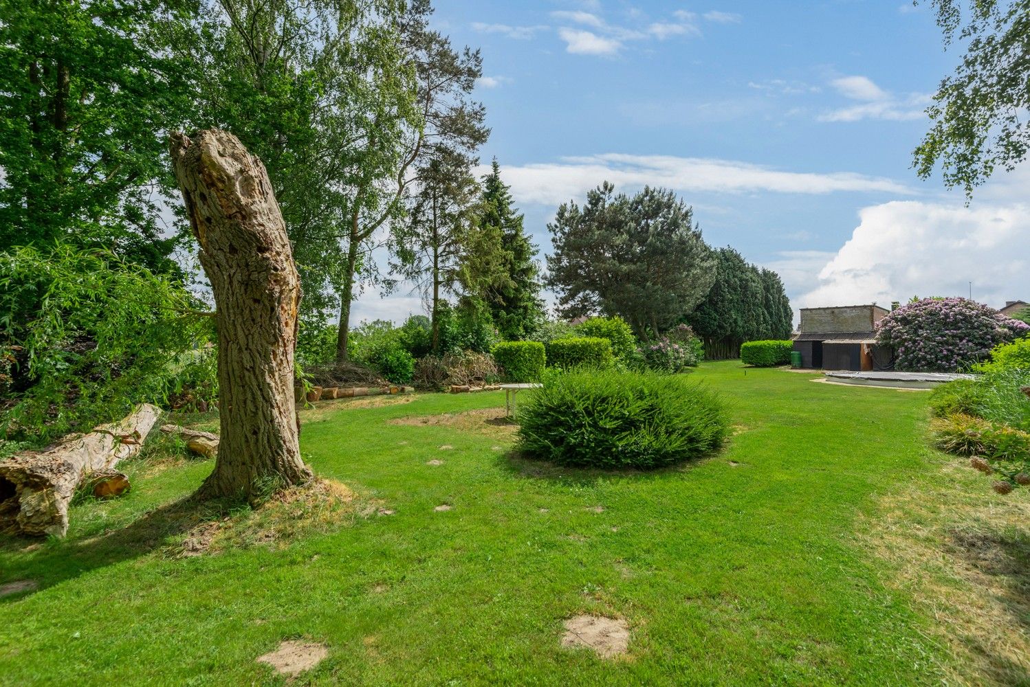 Ruime woning, volledig onderkelderd (144m²), hoge garage (3,3m) & royale tuin. foto 3