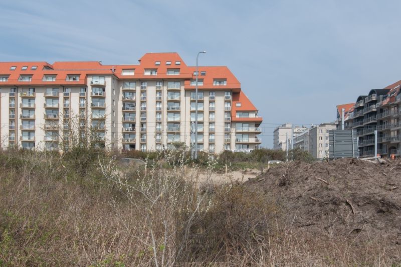 Buitenstaanplaats BP 420 - Residentie Duinenveld. foto 6