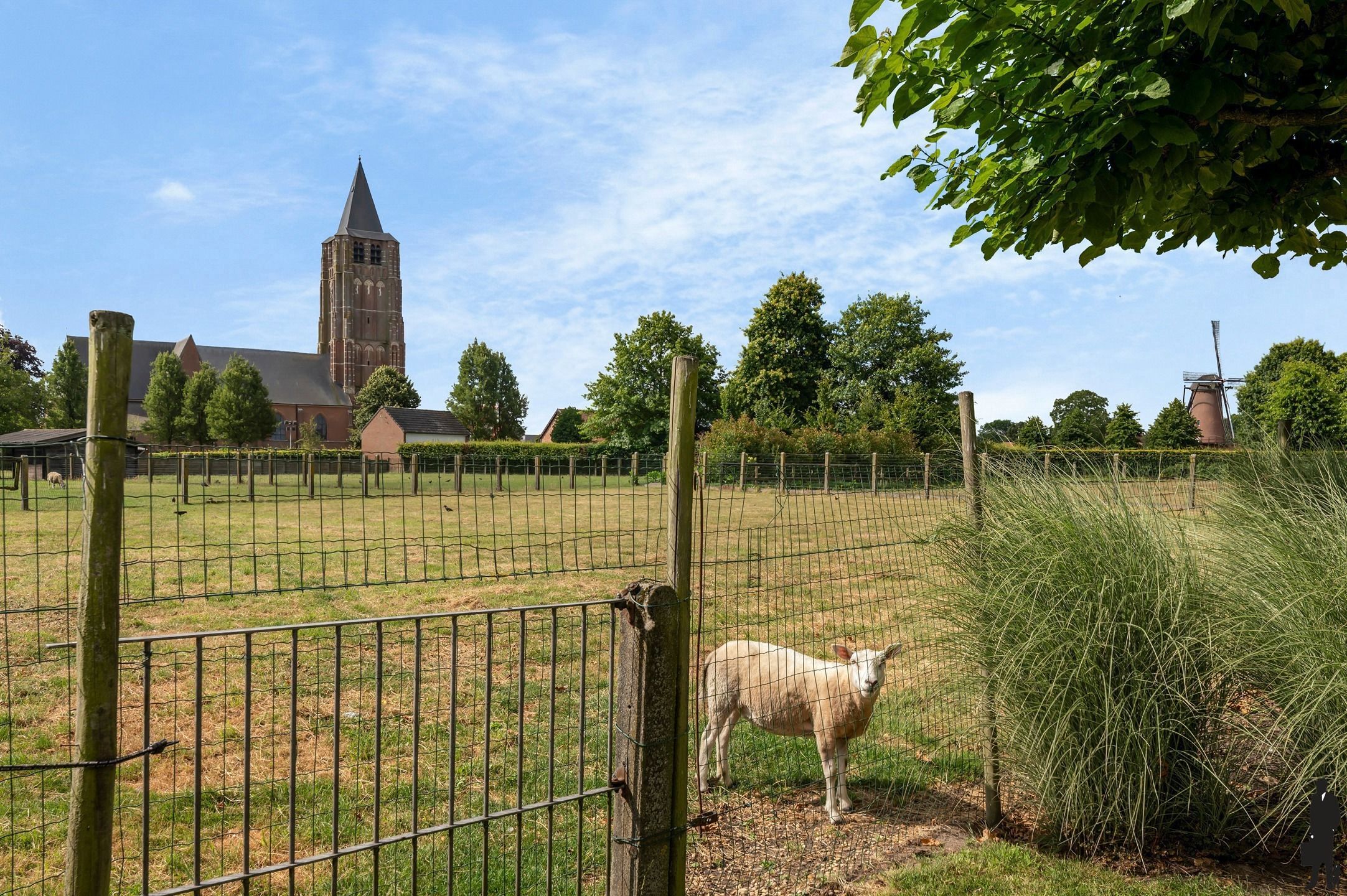 Uitstekende villa met 4 slpk. op ca. 2.000m² in Weelde foto 36