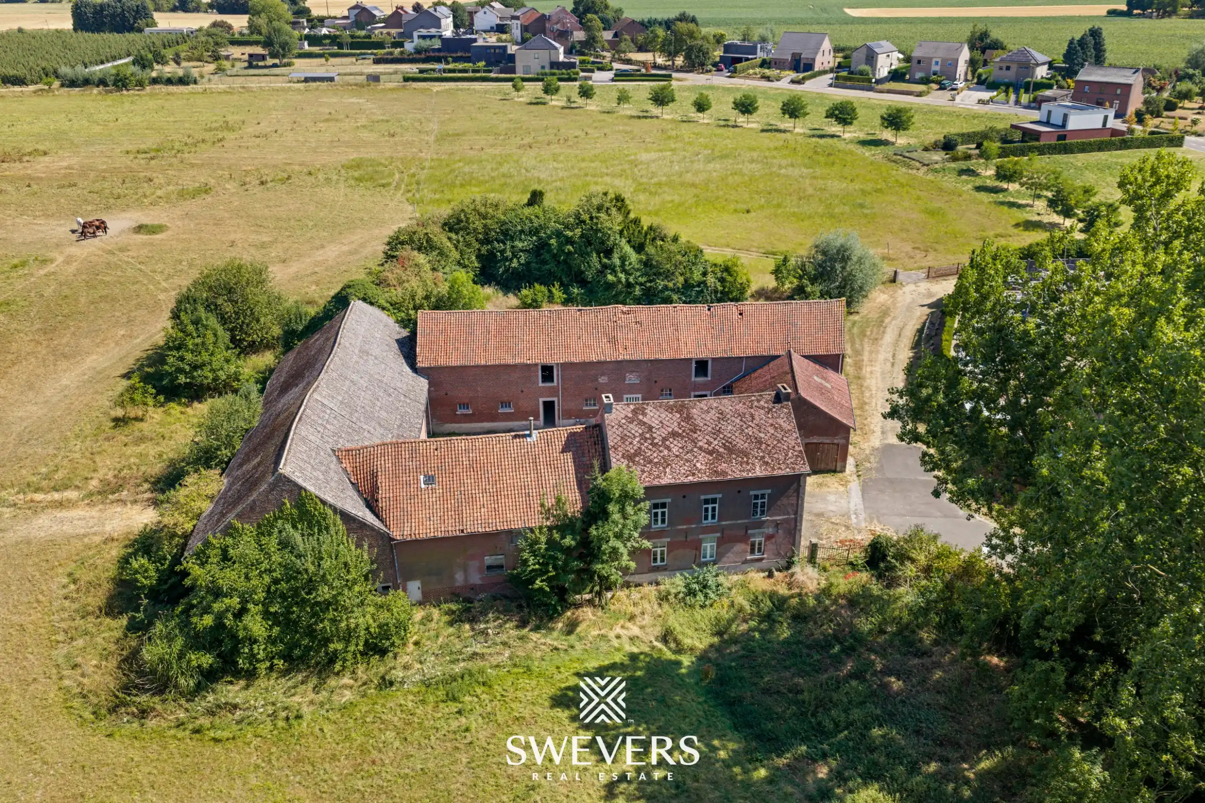 Karaktervolle vierkantshoeve op ruim 4 hectare met uitzonderlijk veel potentieel foto 49
