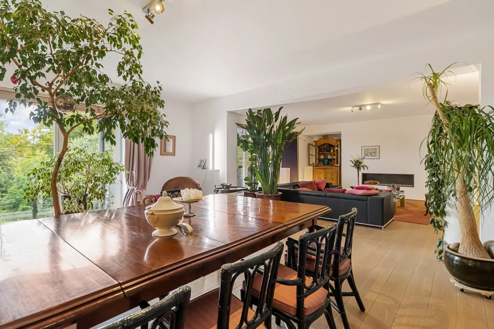 Elegant appartement met uitzonderlijk terras & inclusief privatieve parking in de Jan Van Rijswijcklaan  foto 9