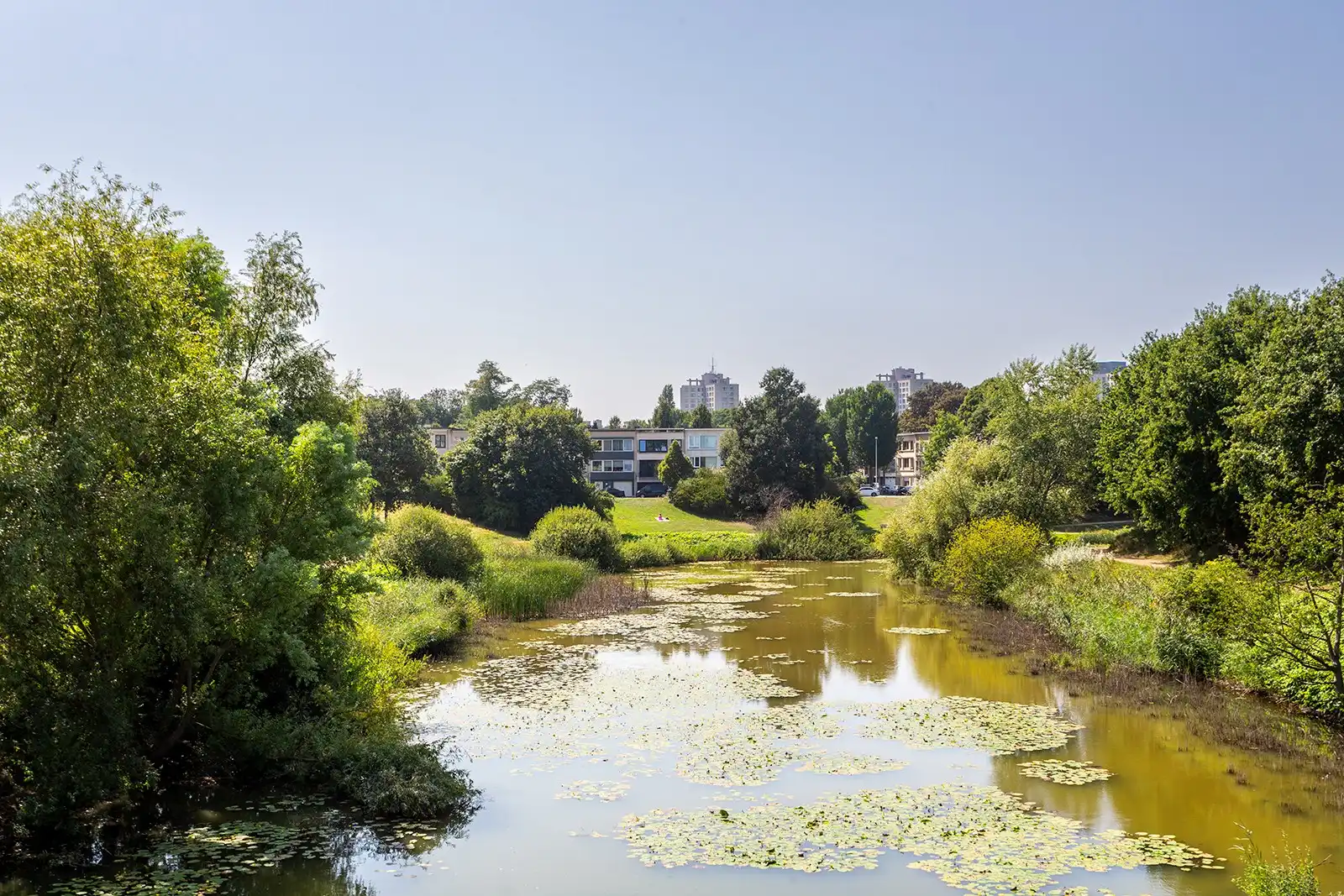  Licht, ruimte en comfort in de Tentoonstellingswijk foto 17