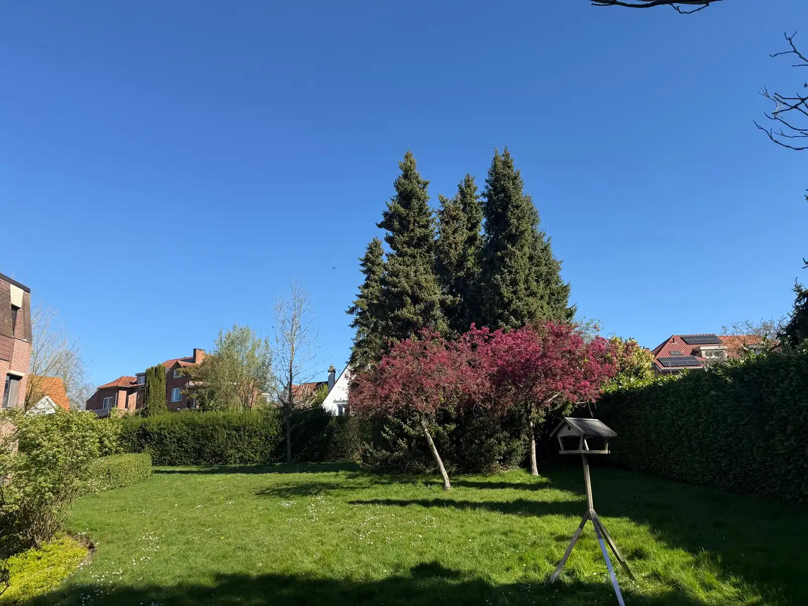 Gerenoveerde serviceflat in een rustige en groene omgeving foto 14