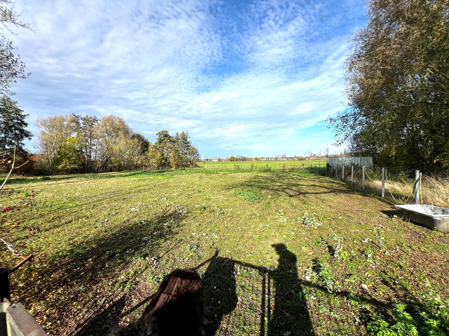 Weiland te koop – 3.160 m² – Zwevegem 🌿🐴 foto 4