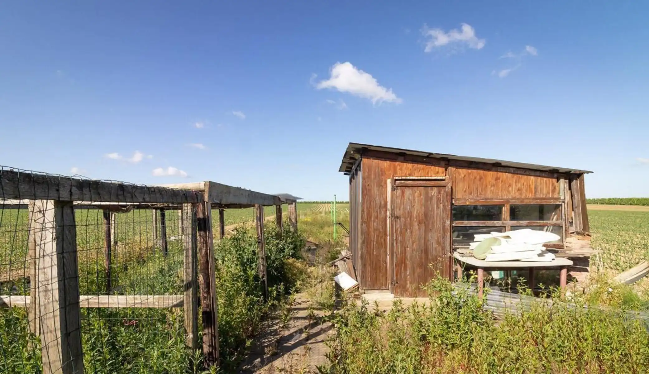 Huis te koop foto 11