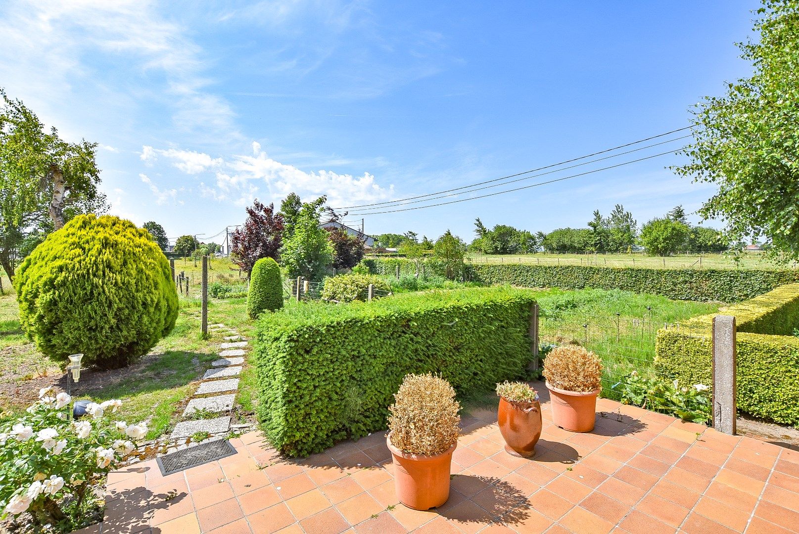 Centraal gelegen hoeve op 11.012m² te Diksmuide! foto 13