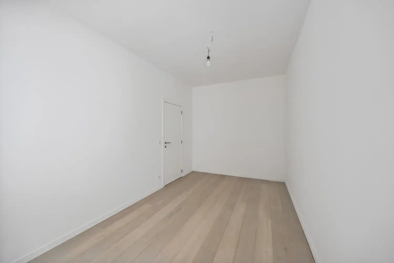 Gelijkvloers pareltje ±140m² met stadstuin en terras in hartje Antwerpen – Gerenoveerd in 2025 foto 12