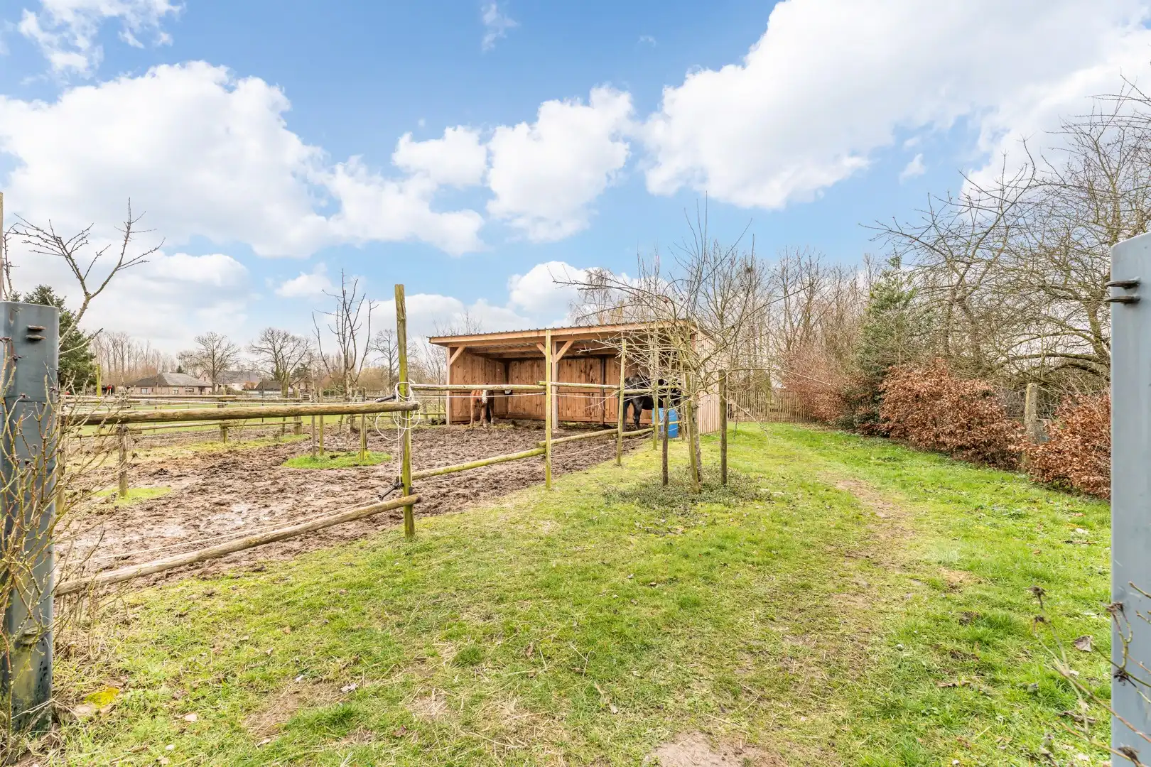 Instapklare woning op ruim perceel met bijgebouw – ideaal voor dierenliefhebbers foto 27
