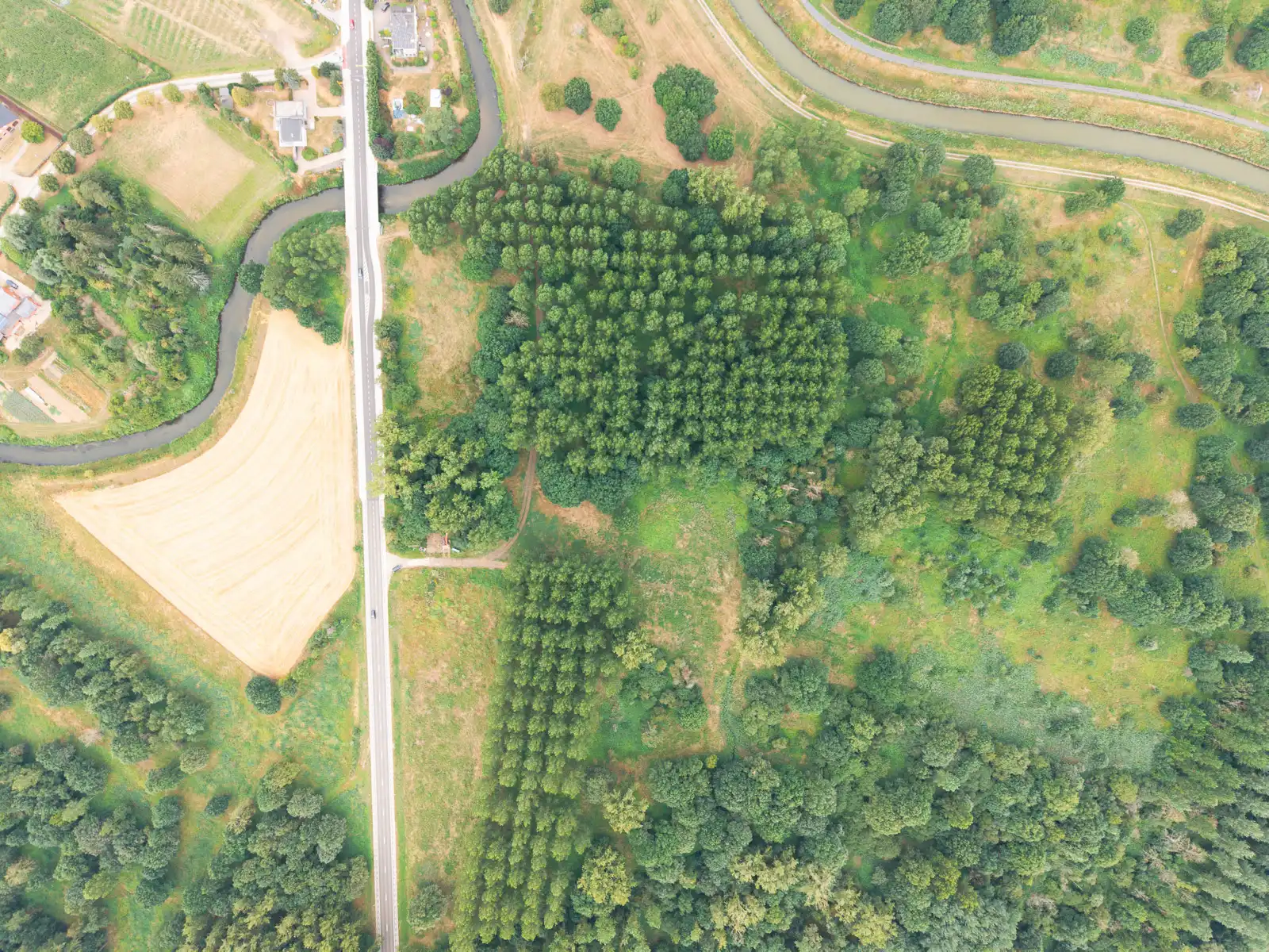 Bosgrond in een oase van groen foto 4