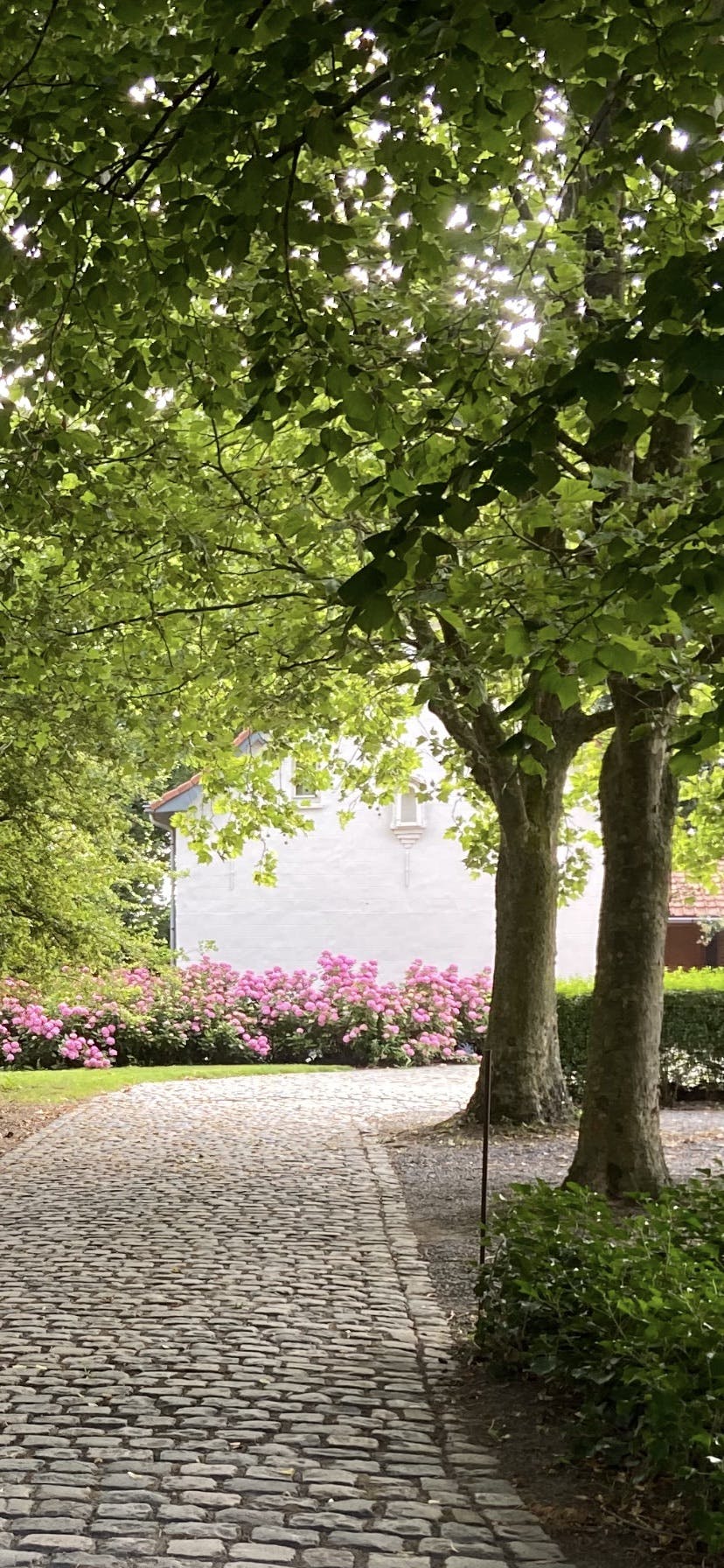 Exclusief landhuis op +/- 8000 m²: de synthese van rust en ruimte foto 40