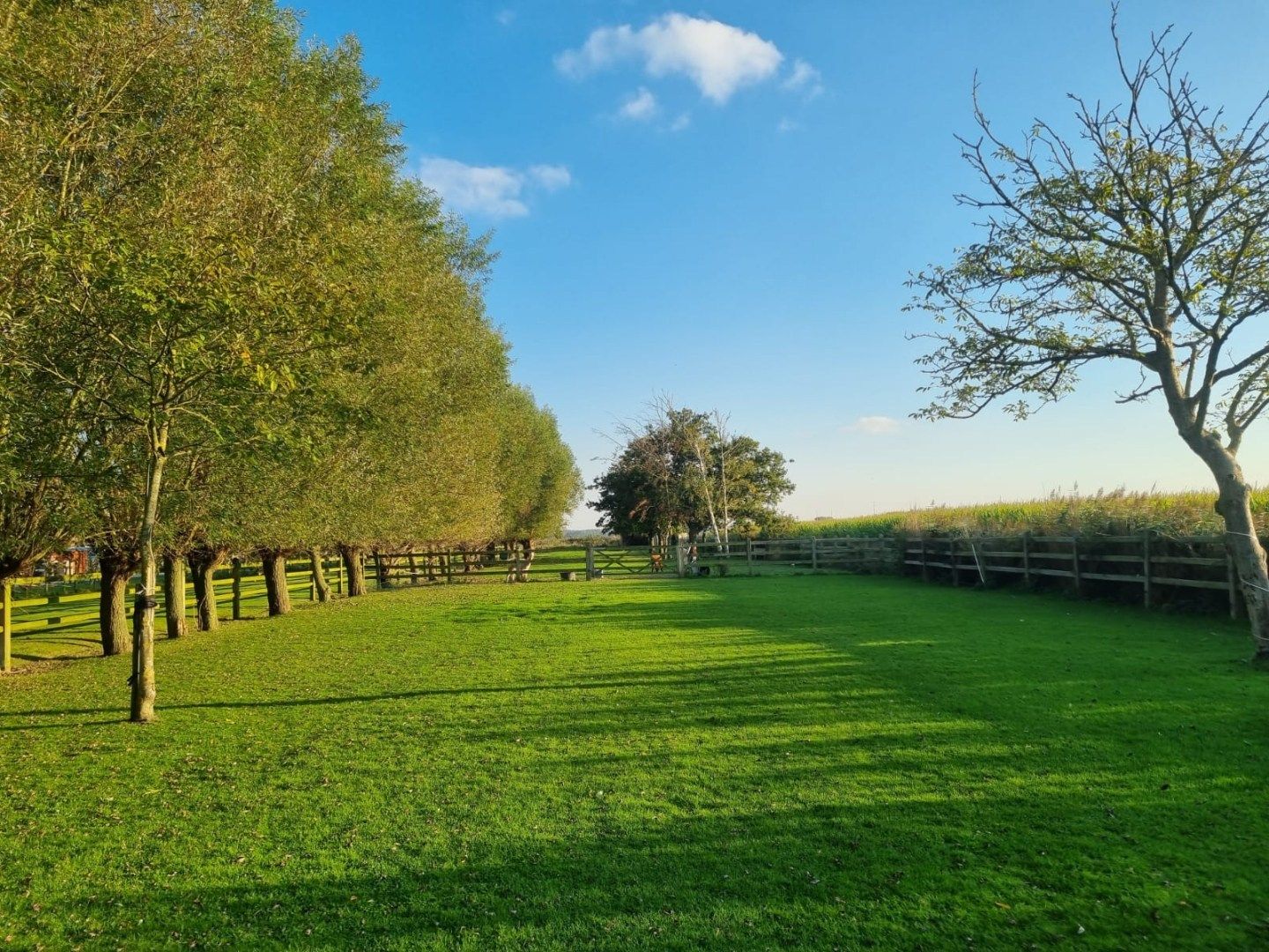 Uiterst charmante halfopen bebouwing met weidse zichten op een perceel van 2012m²  foto 3