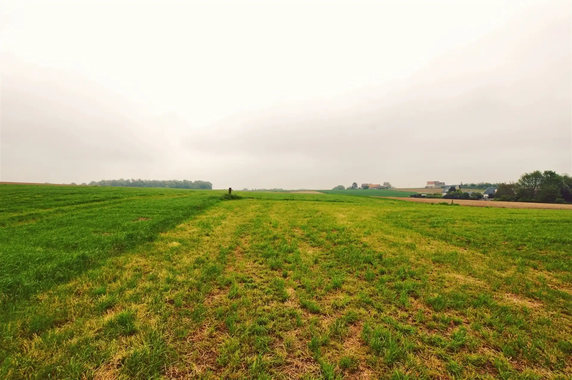 Bouwgrond van 50 are met groenzicht in Bekkerzeel foto 5