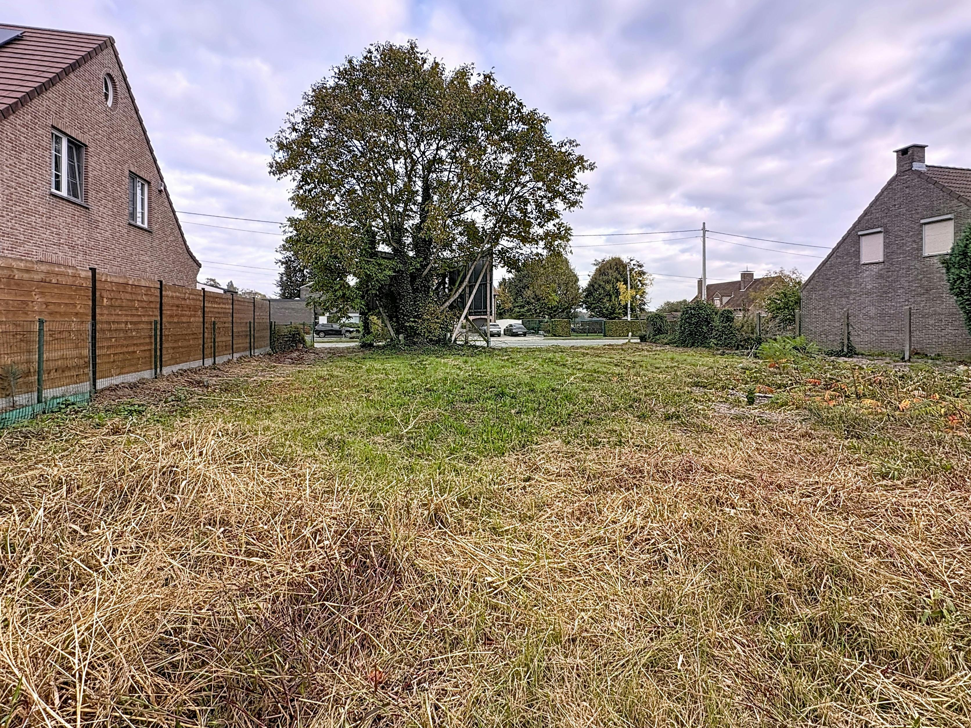 Mooie bouwgrond voor open bebouwing te Blaasveld foto 4