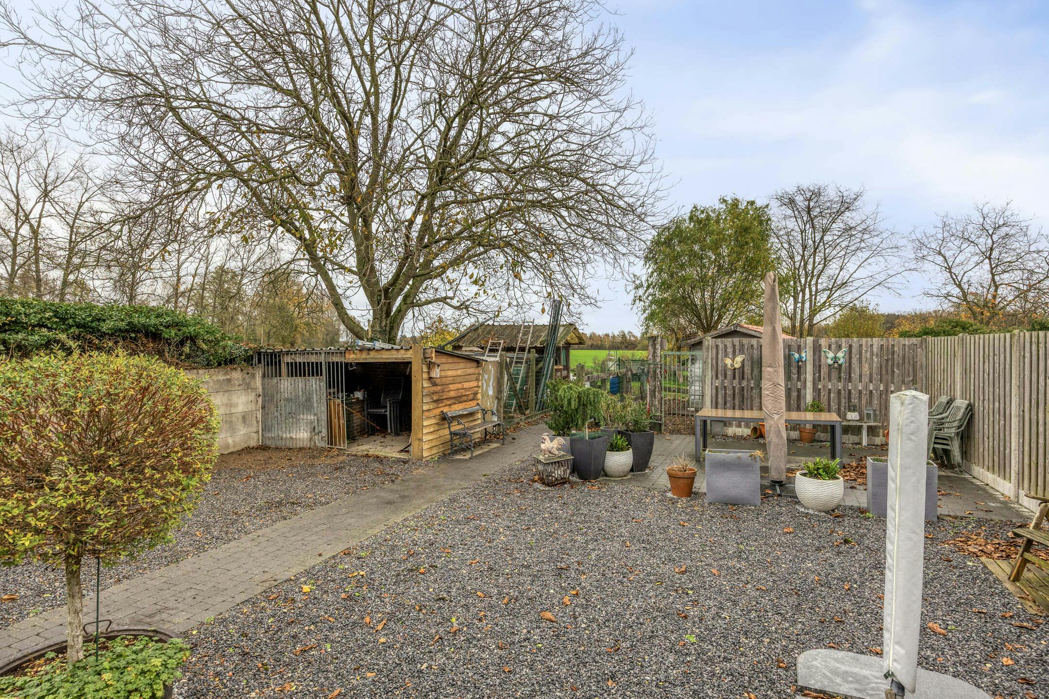 Gelijkvloerse, rolstoelvriendelijk huis te koop op rustige locatie in Molenbeersel foto 15