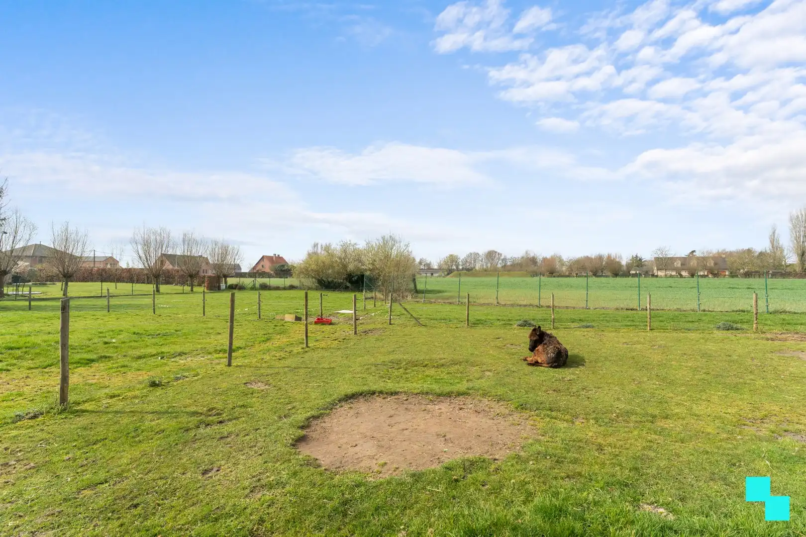 Ruime woning met loods in groene omgeving - Oekene foto 23