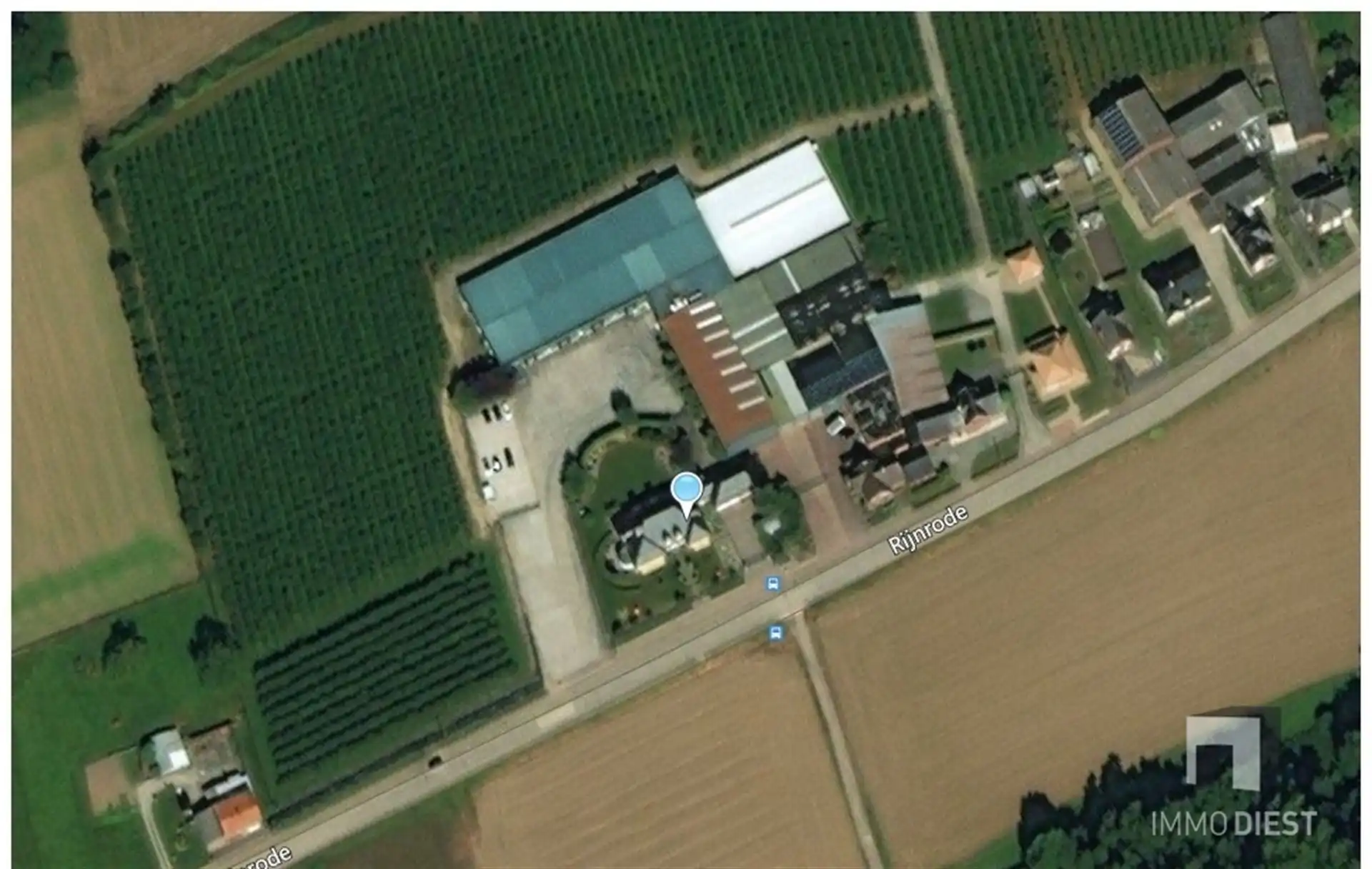 1500 M² GEKOELDE OPSLAG MET BURELEN  foto 3