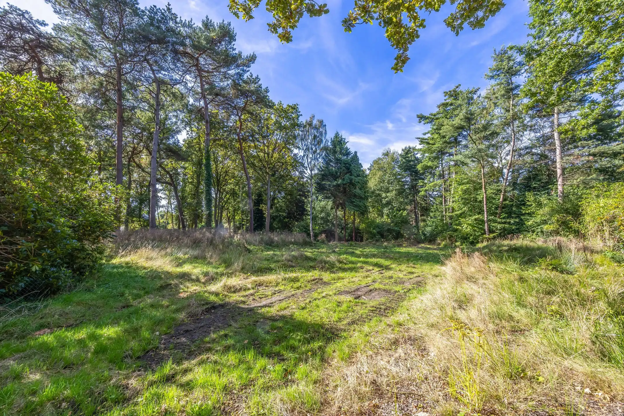 Extra brede bouwgrond in een groene oase foto 5