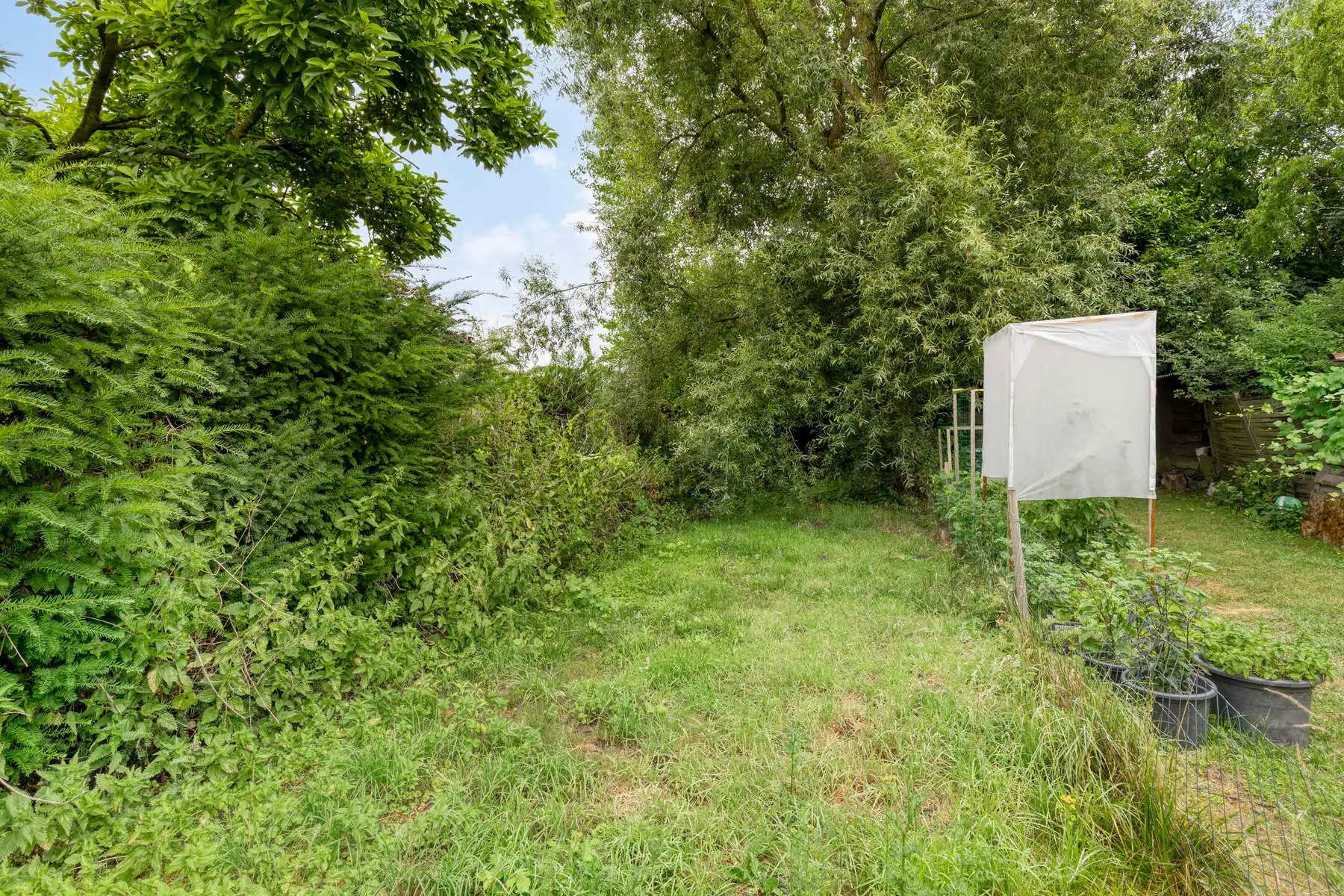 Gezellige starterswoning op ideale locatie te Huizingen foto 13