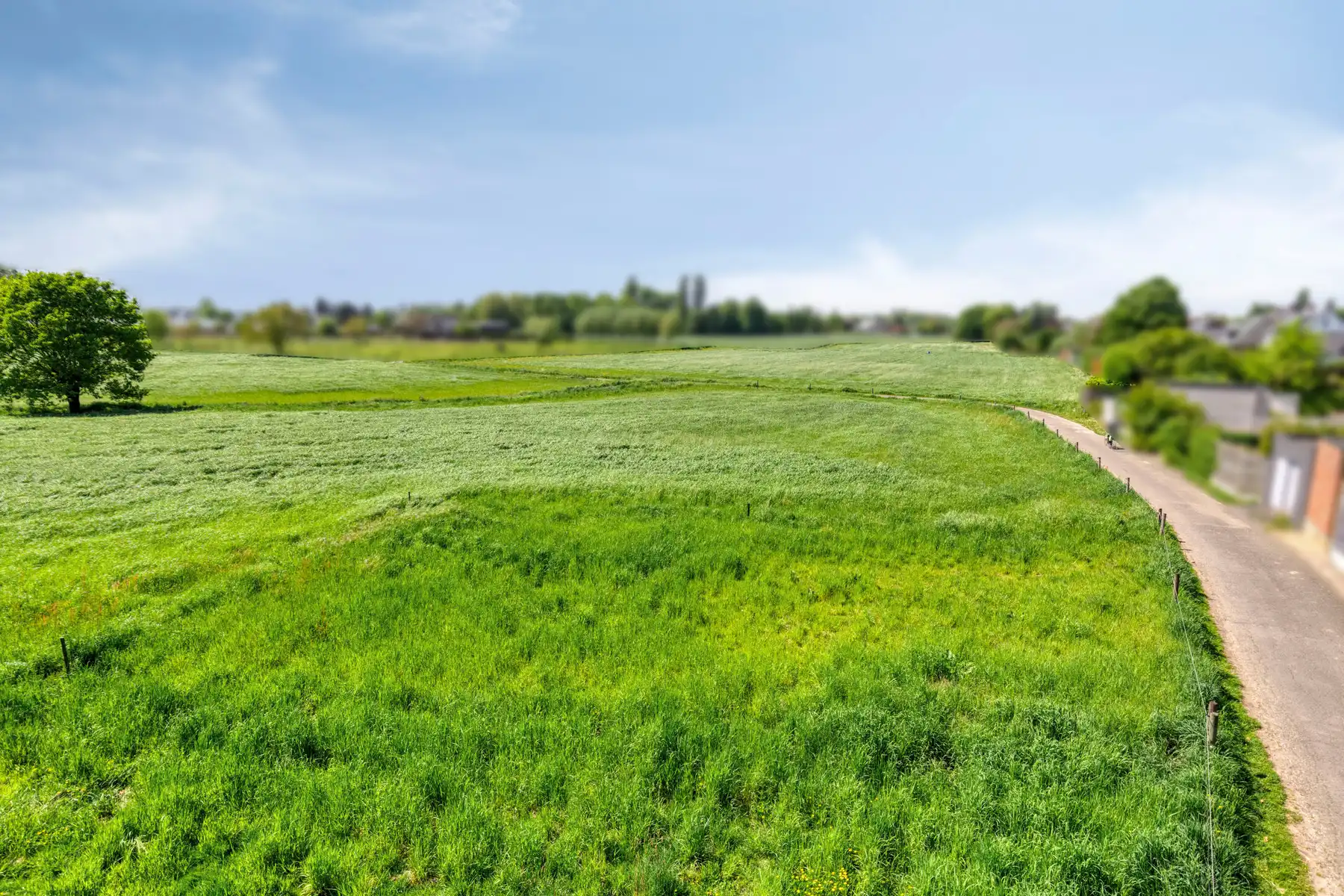 Ruime authentieke hoeve op een perceel van 47.440m². foto 24