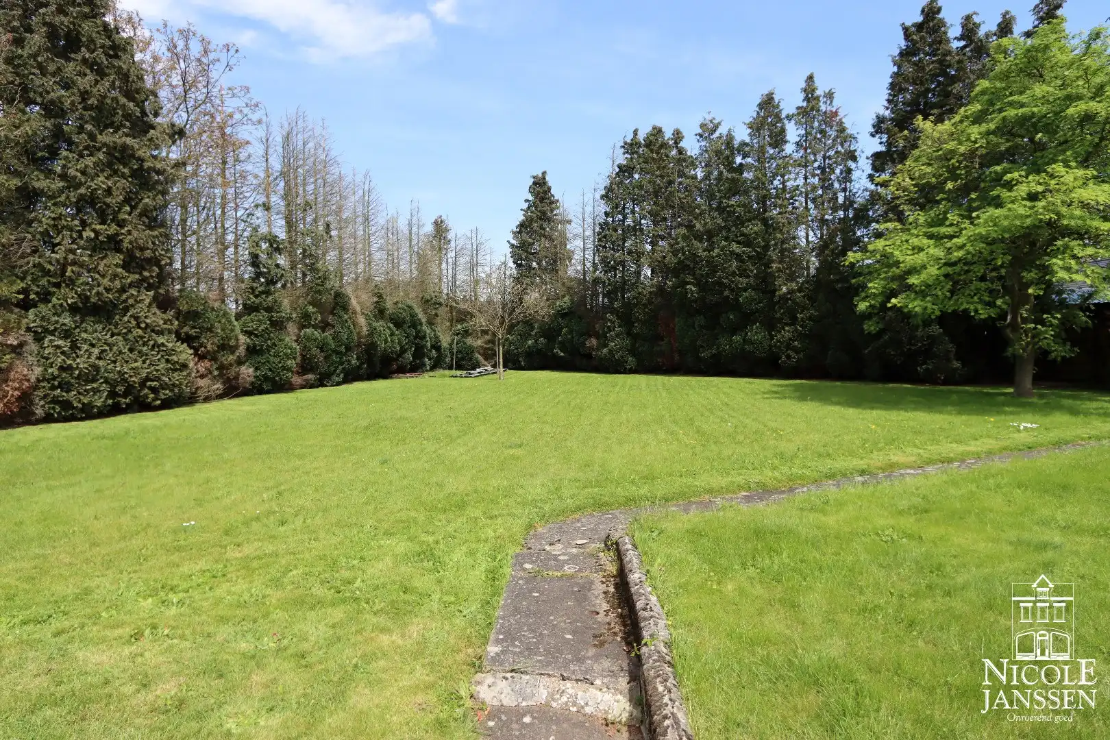 Gelijkvloerse gezinswoning met drie slaapkamers, grote kelder en ruime tuin foto 15