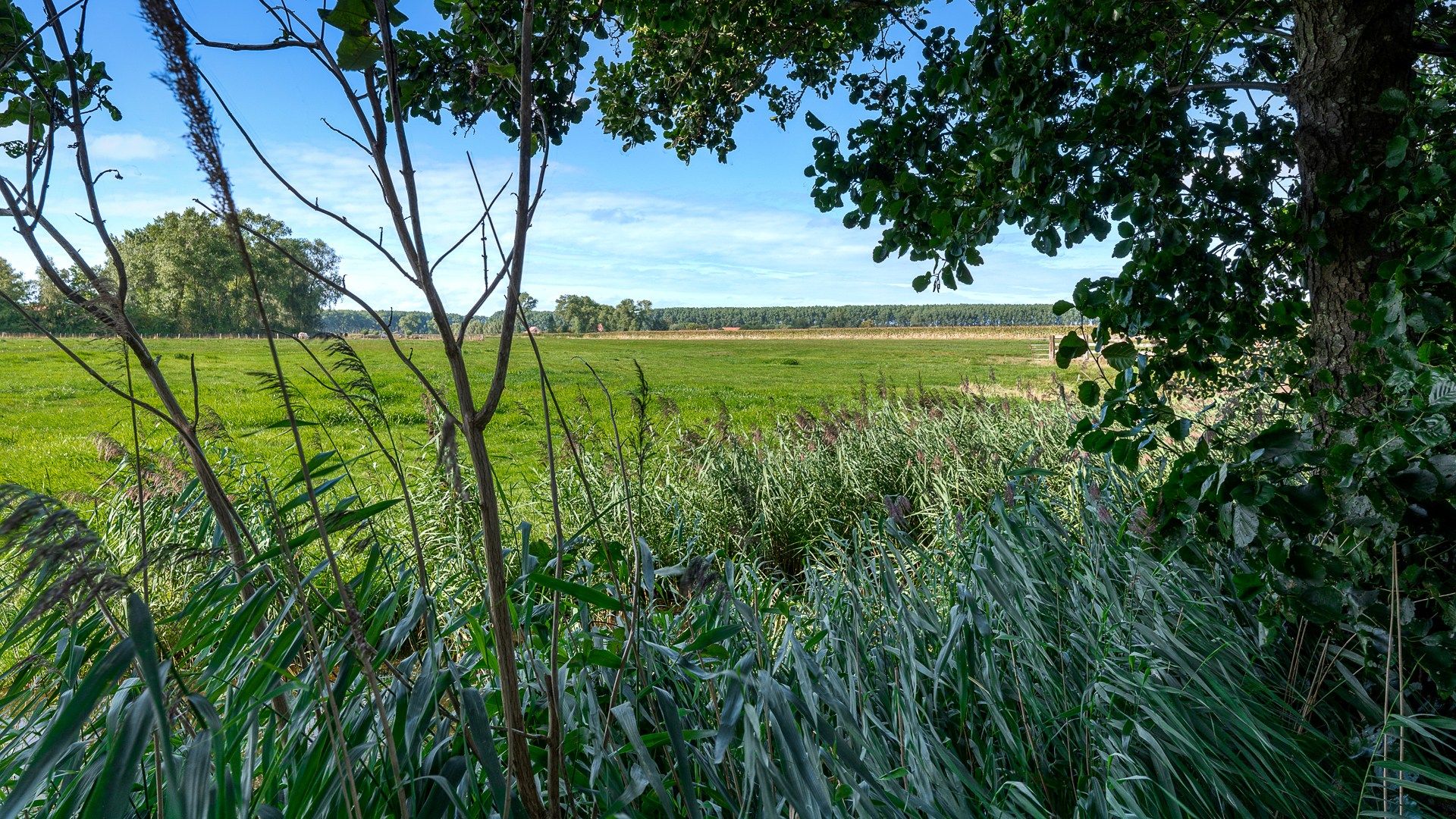 Hoeve schitterend gelegen te Damme foto 22