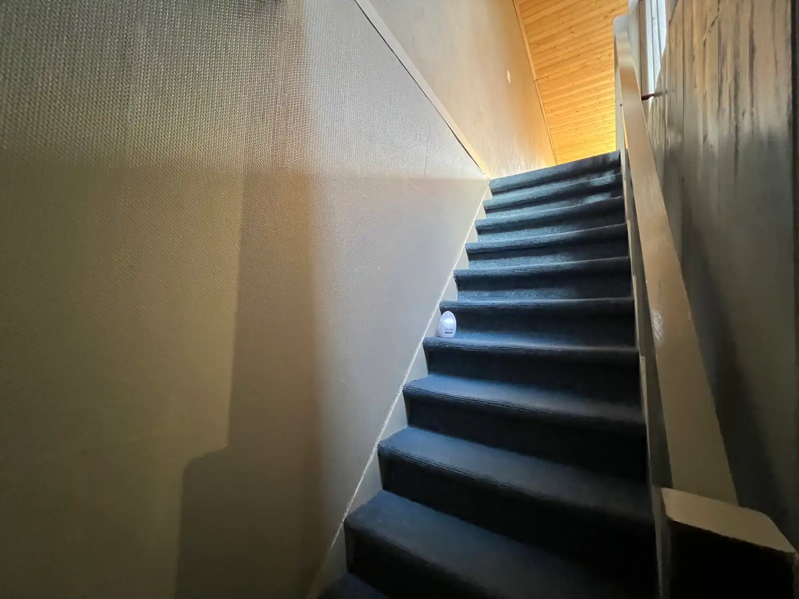 Zeer ruime woning met grote tuin en vrij zicht. foto 17