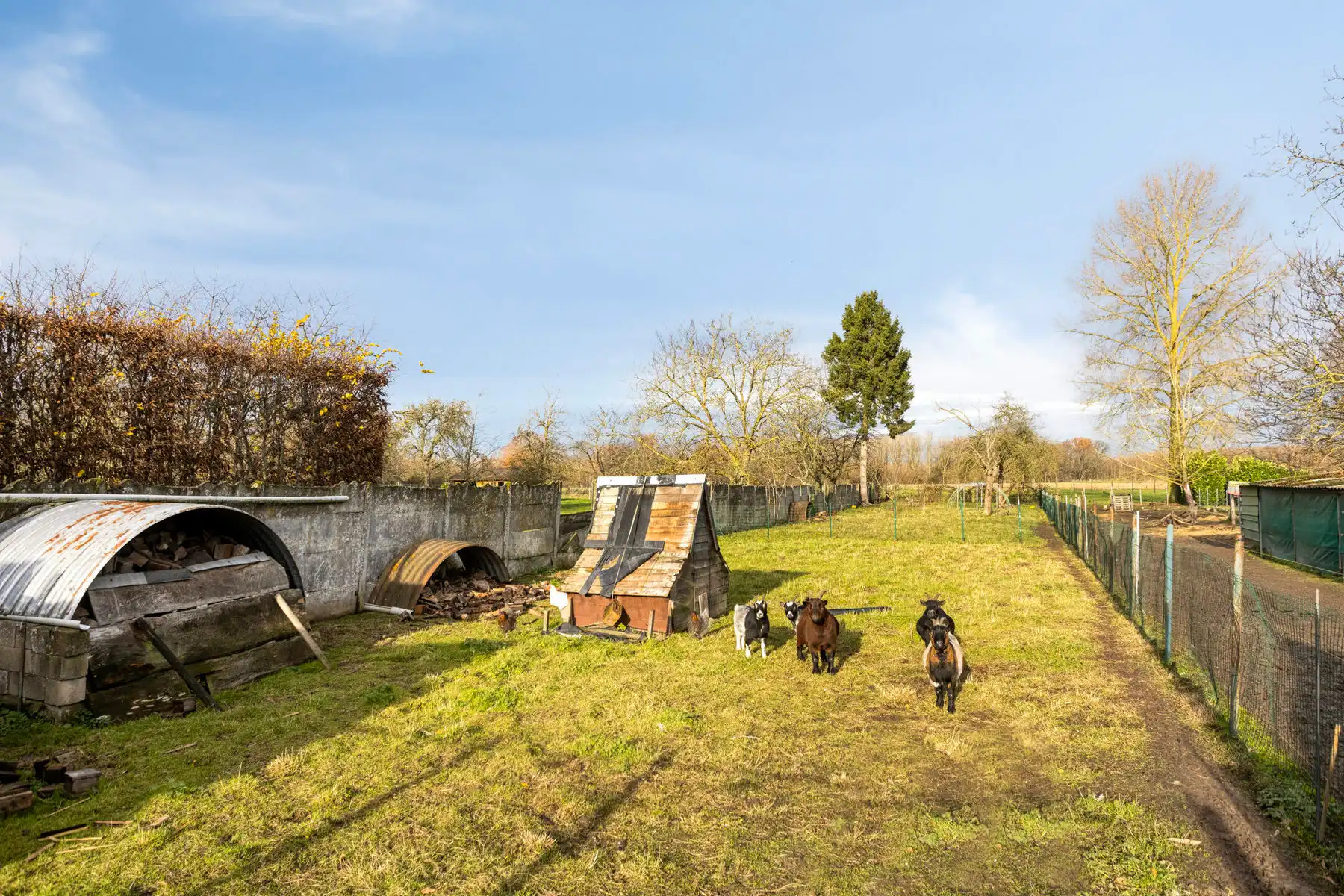 Landelijke driegevelwoning met garage en tuin foto 22