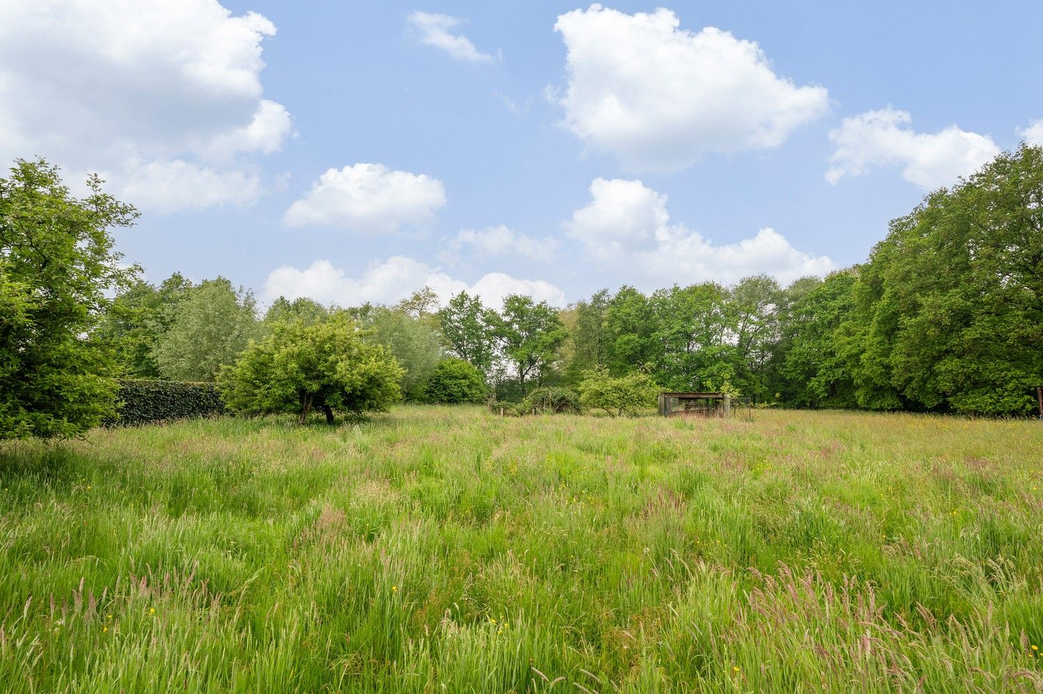 Rustig gelegen op te frissen ruime woning op 5225 m² foto 29