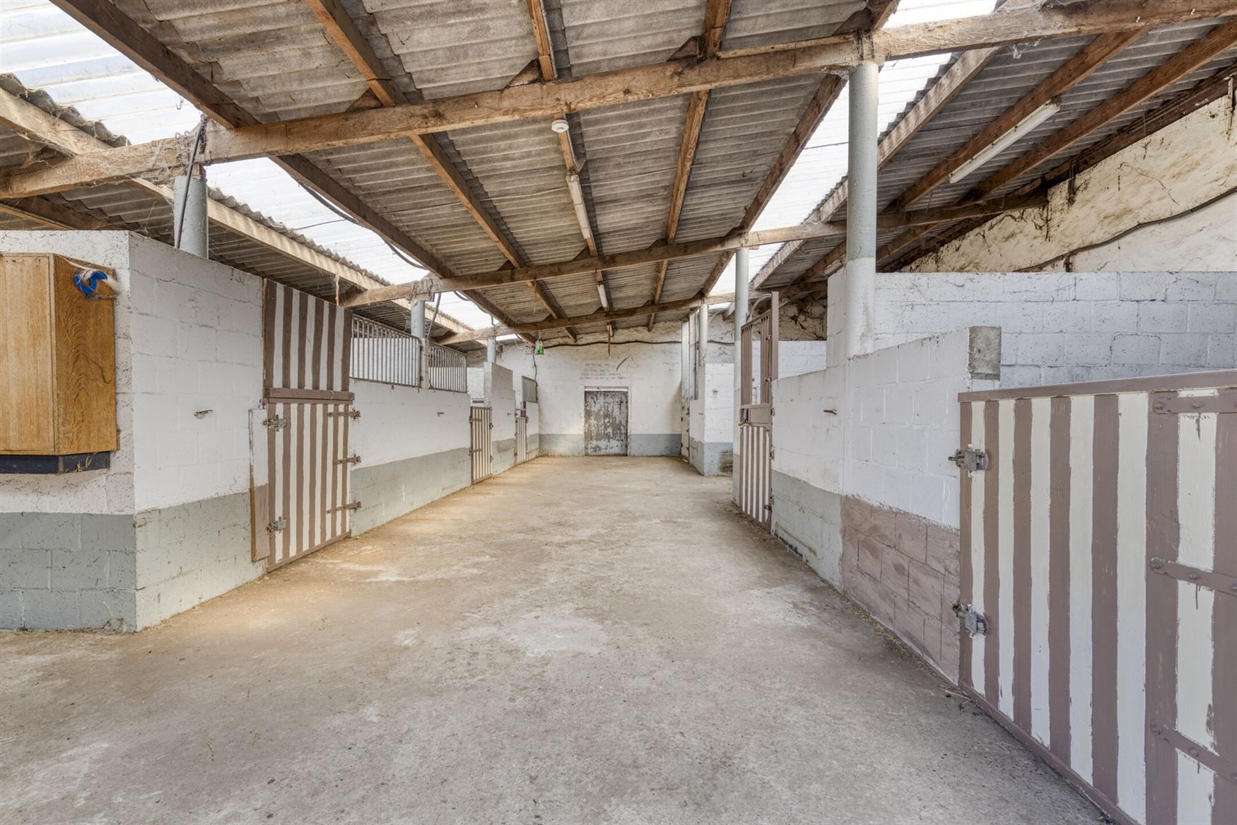 Ruime hoeve met stallingen foto 25